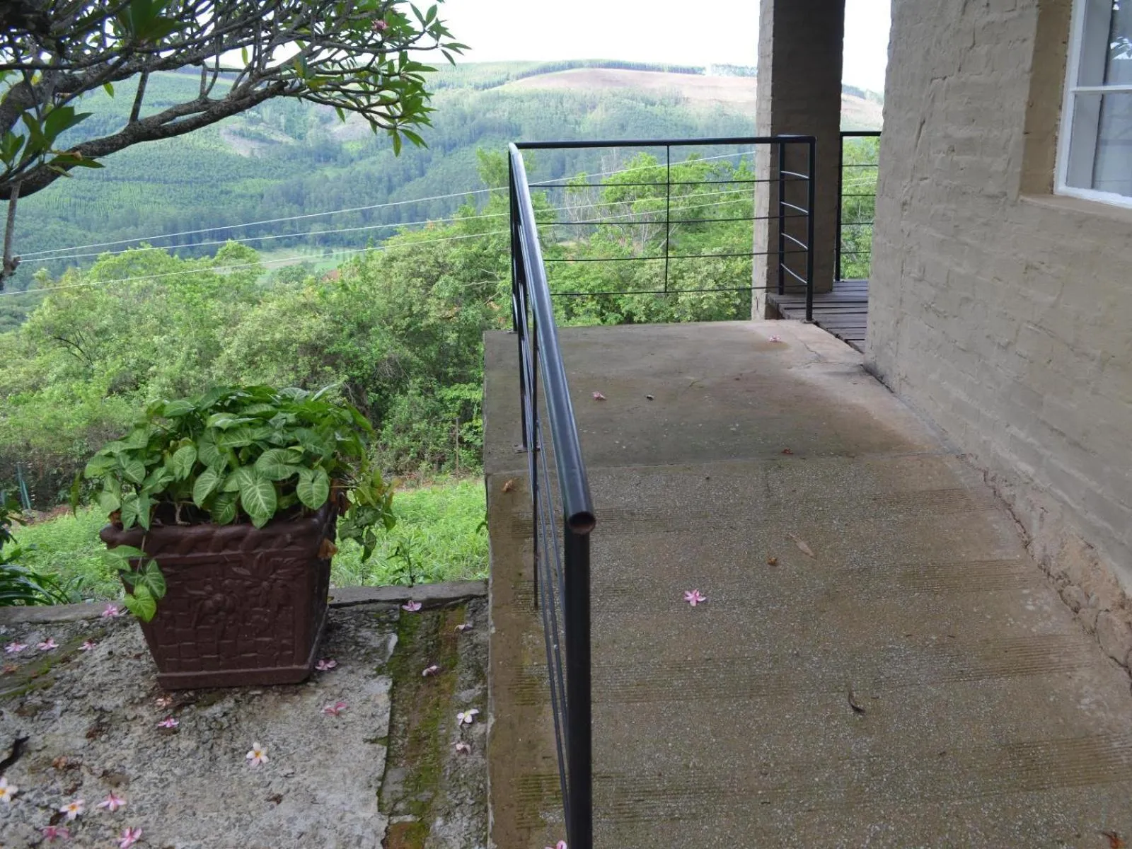 Day in Bohm's Zeederberg Country House