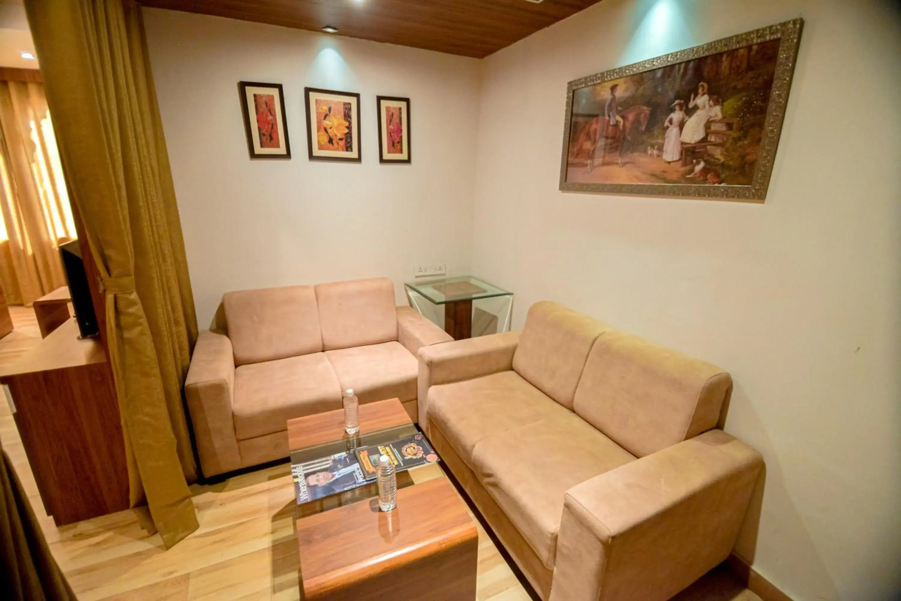 Living room in Gold Nest Rubystone Heritage Living room in Gold Nest Rubystone Heritage