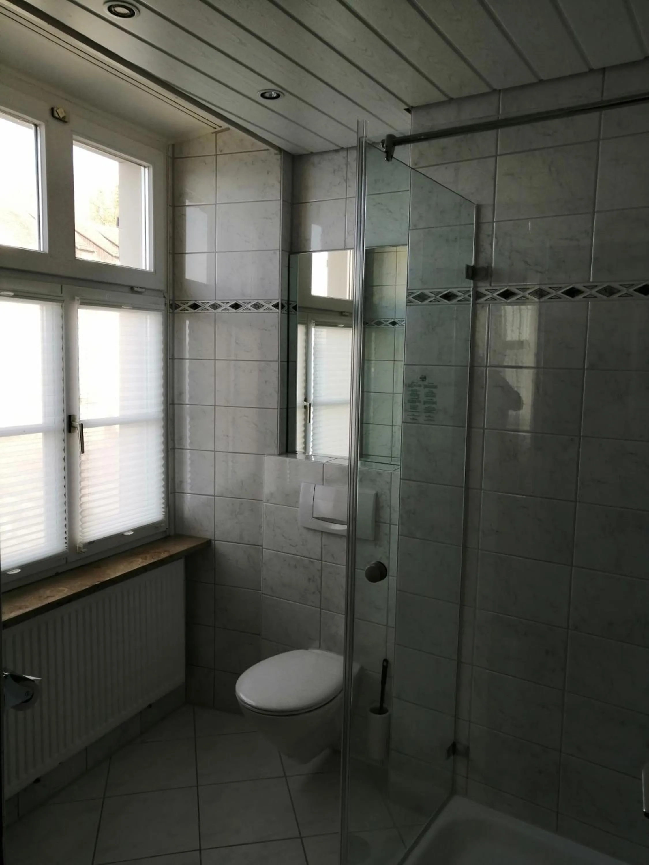 Toilet in Flair Hotel zum Schiff