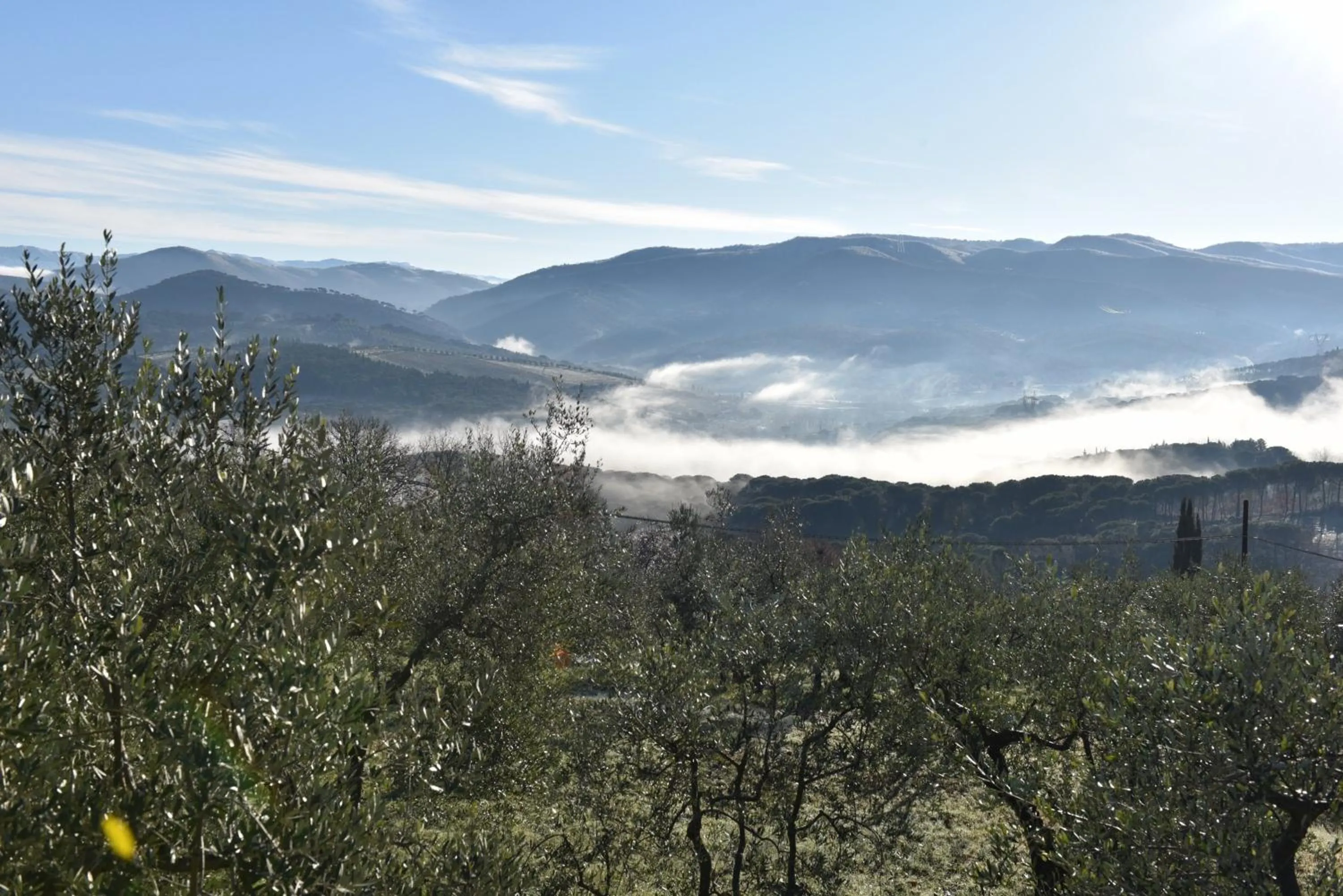 Property building in Residence B&B il Connubio