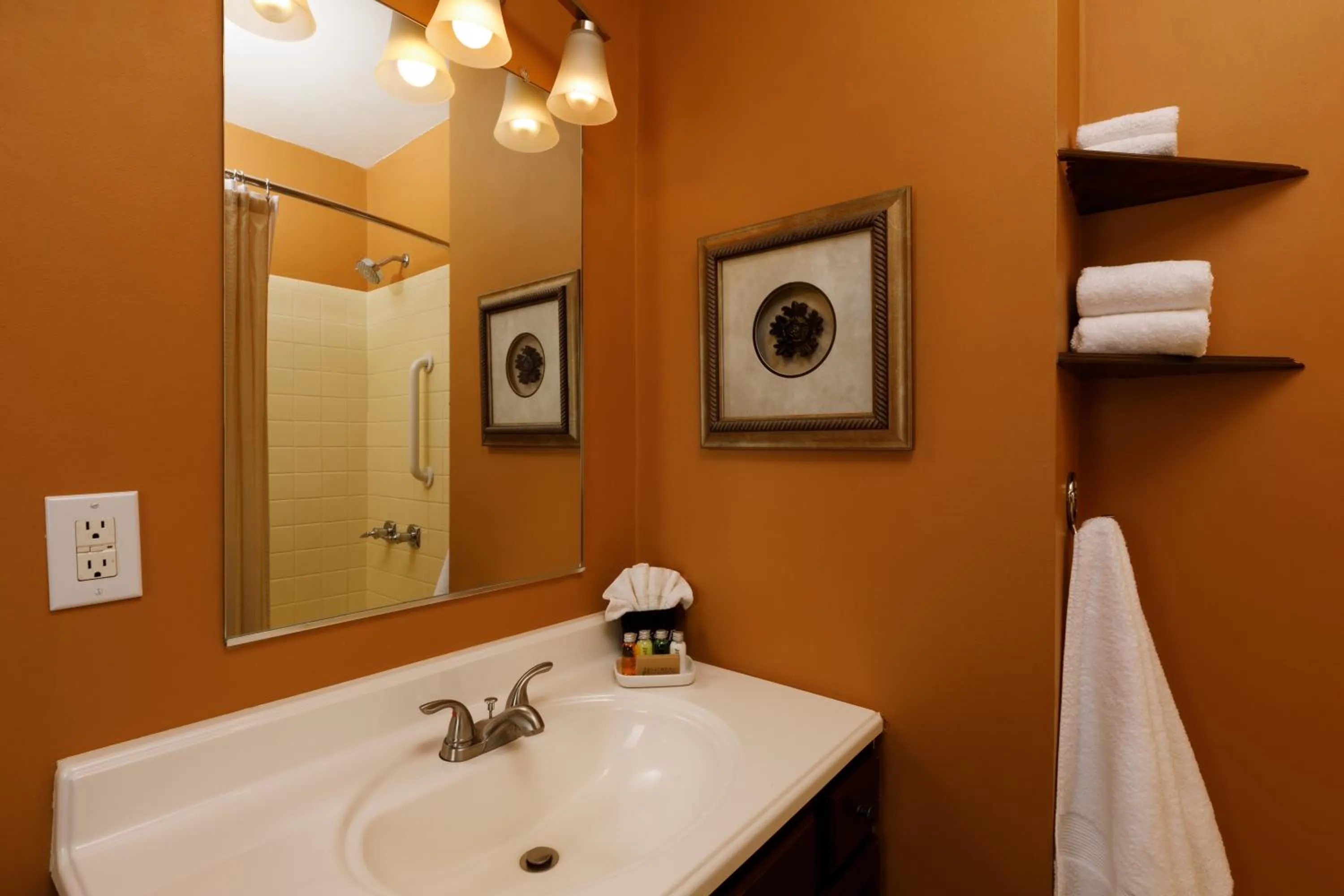 Bathroom in The Kalamazoo House Downtown Hotel and Suites