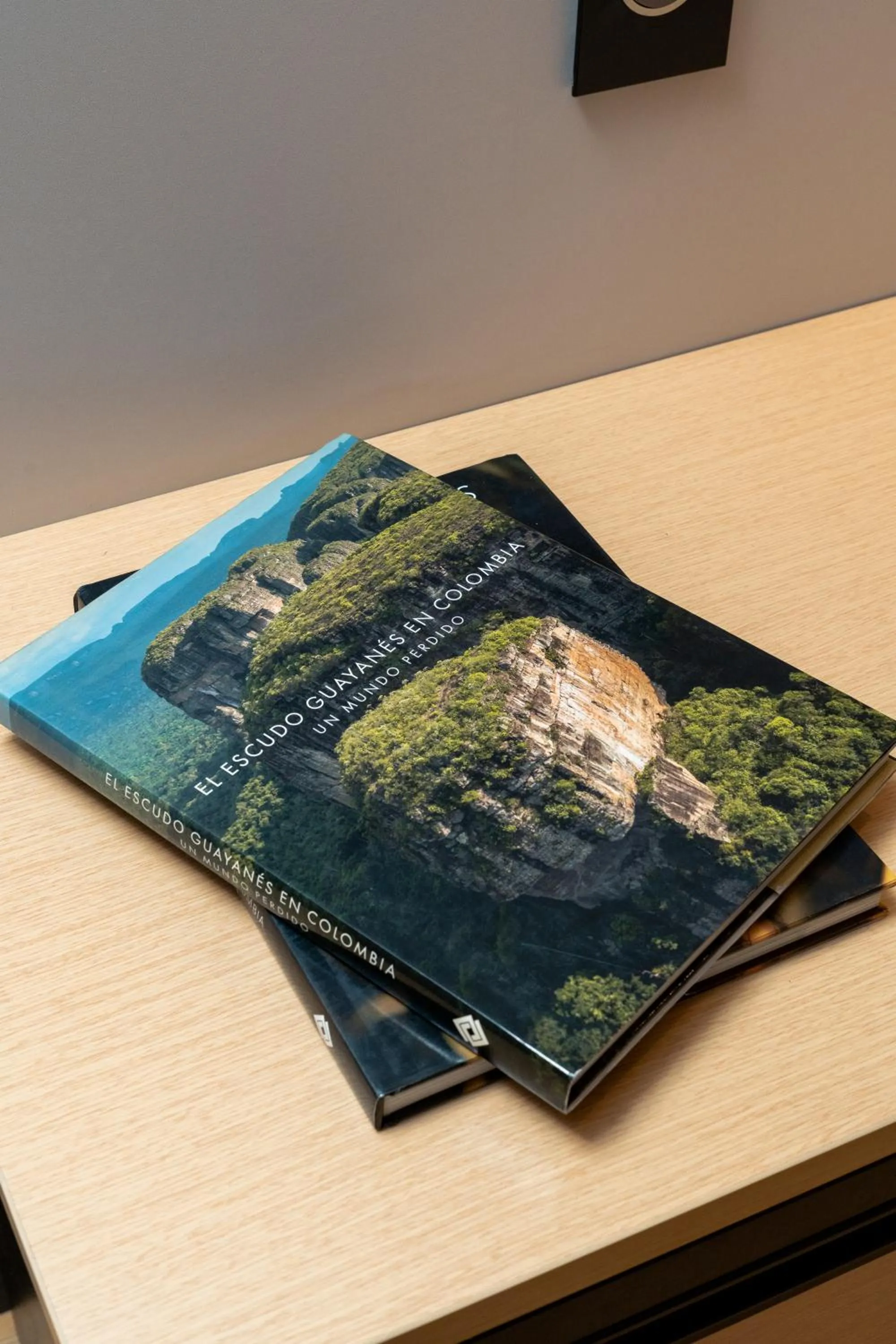 Decorative detail in Hotel Foresto 365