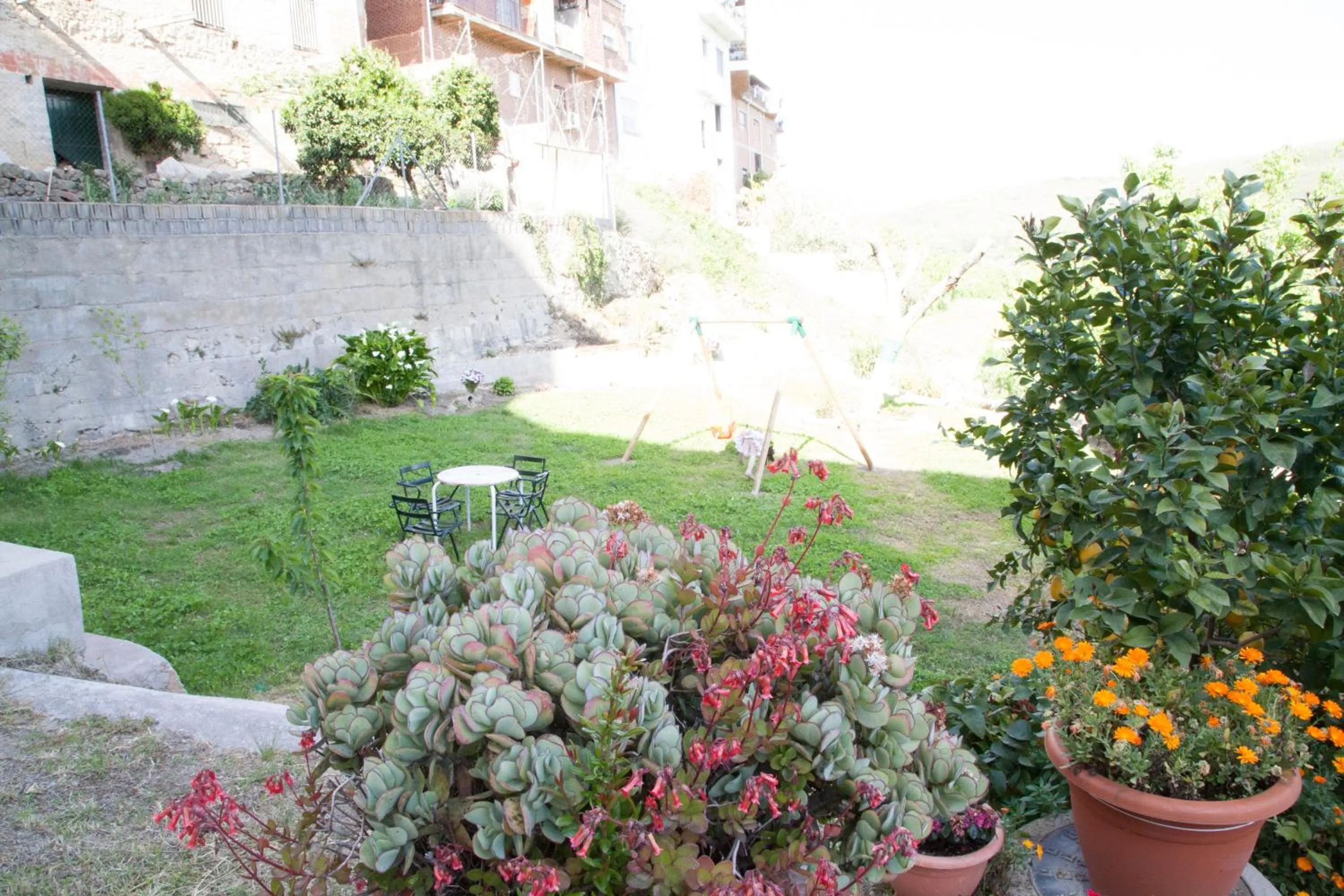 Garden view in Hotel El Yedron