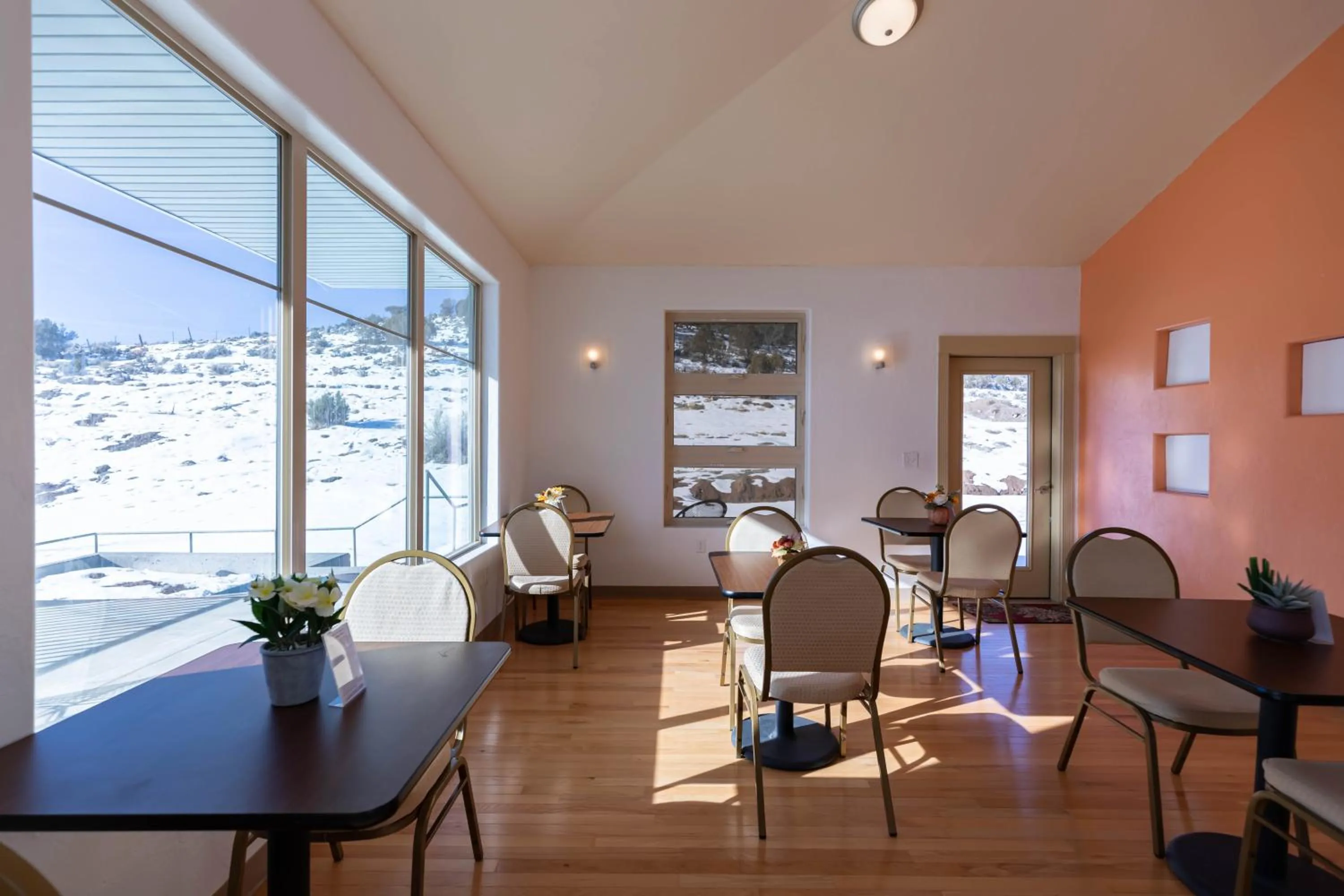 Restaurant/places to eat in The Molina Center