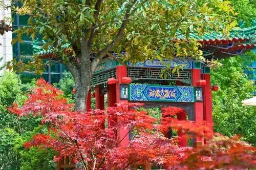 Sofitel Xi'an On Renmin Square Sofitel Xi'an On Renmin Square