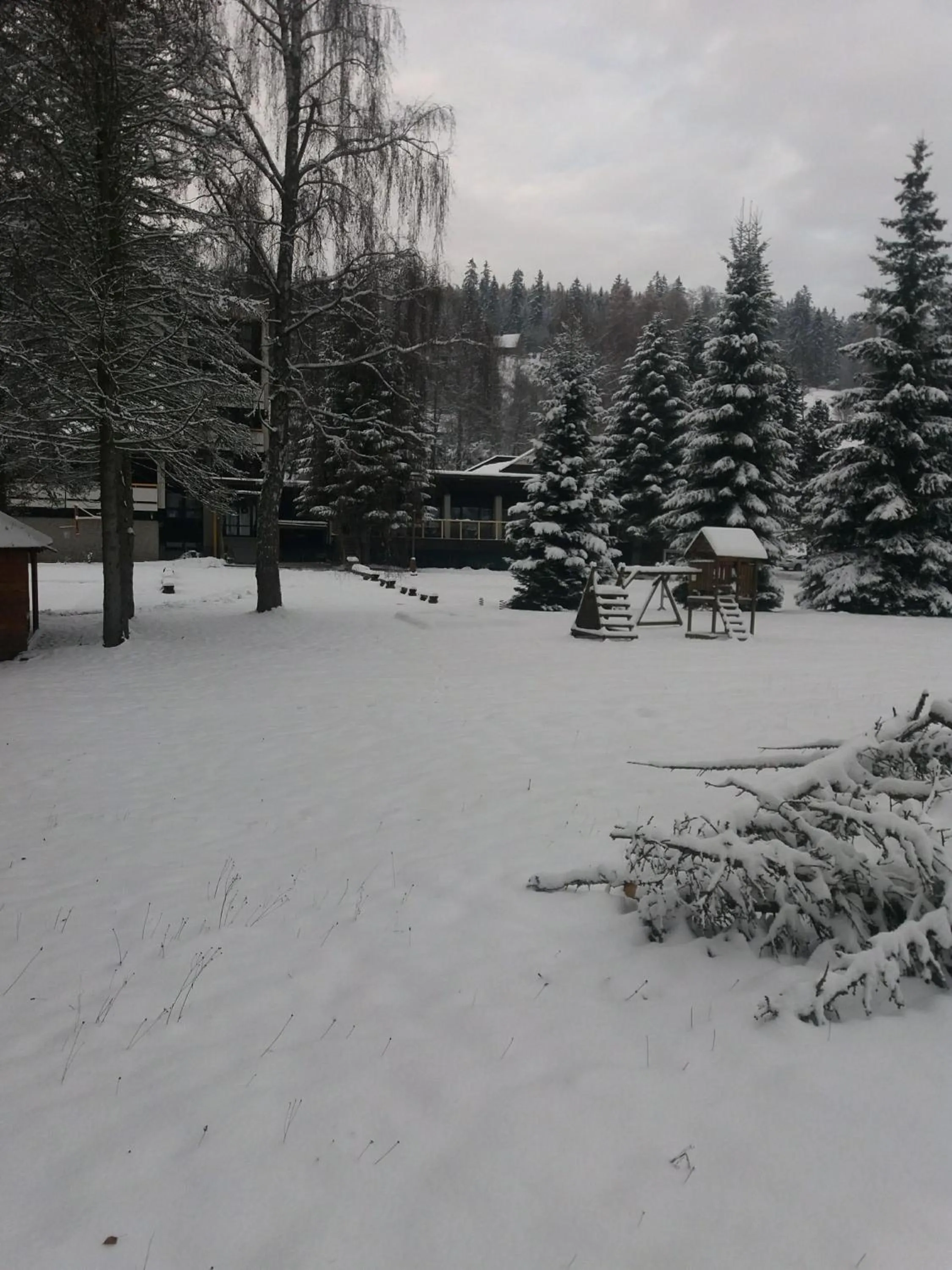 Winter in Hotel ČESKÁ FARMA