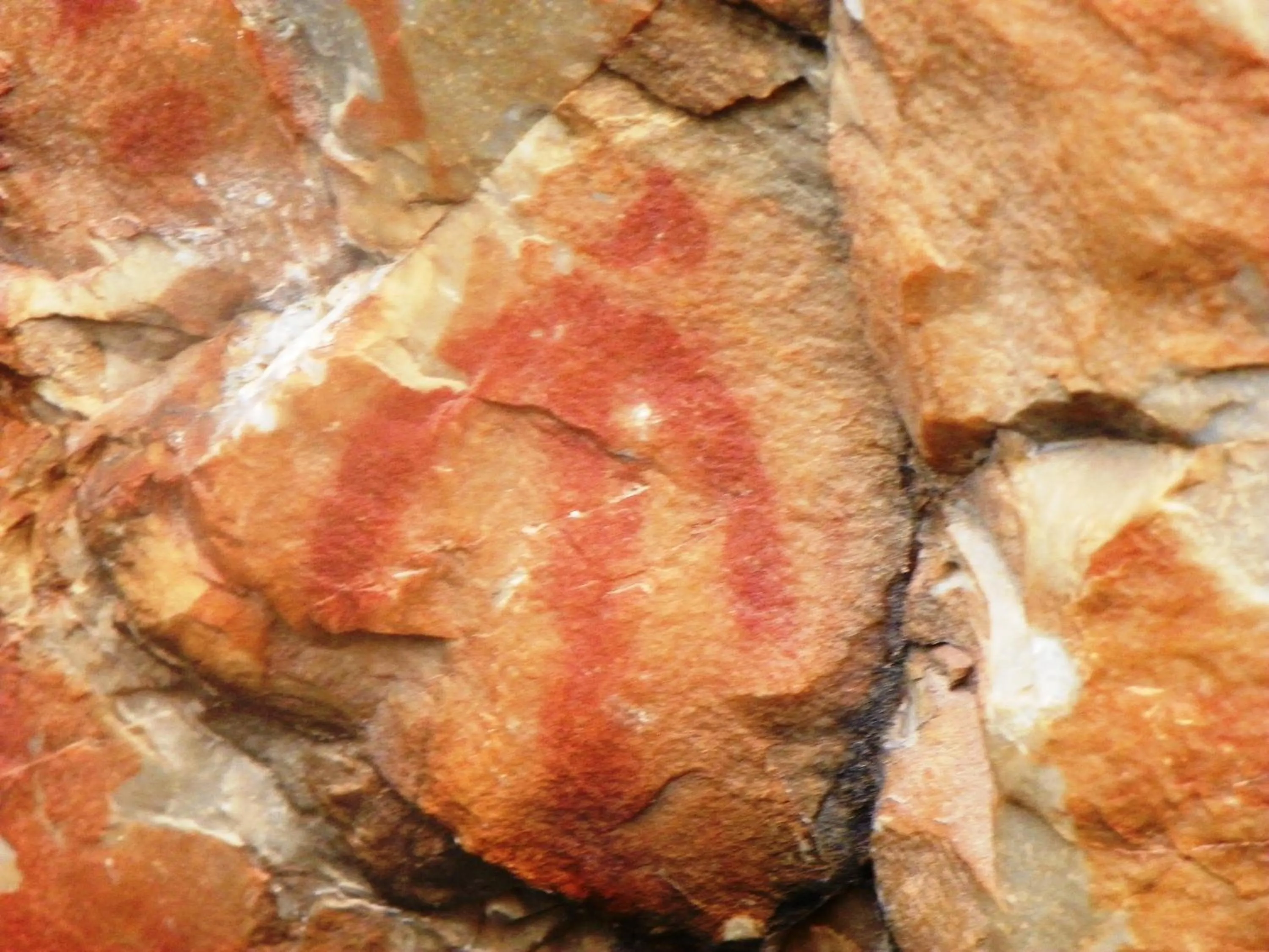 Nearby landmark in Hotel Villa de Berzocana