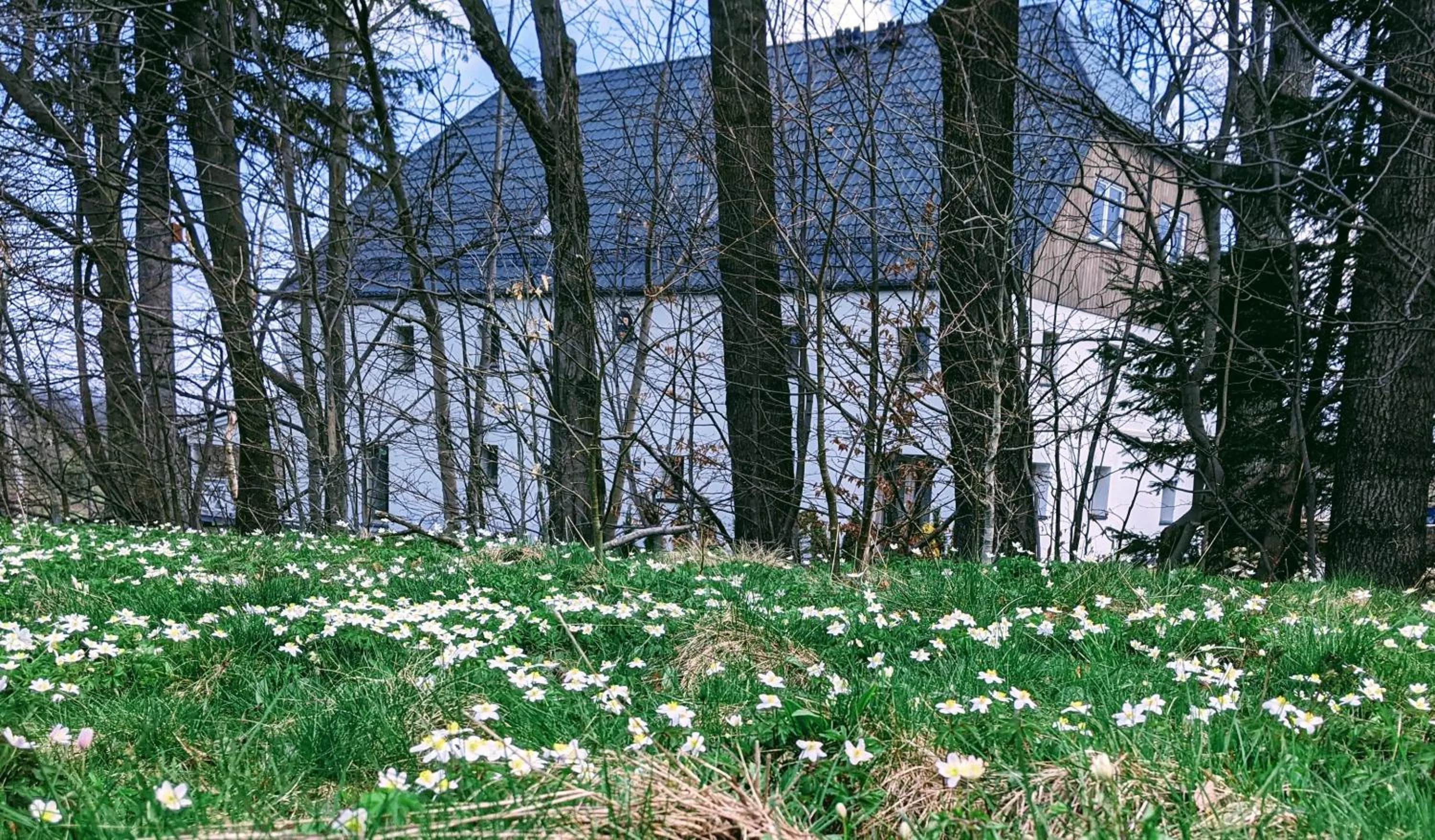Property building in Siedlisko Krasna