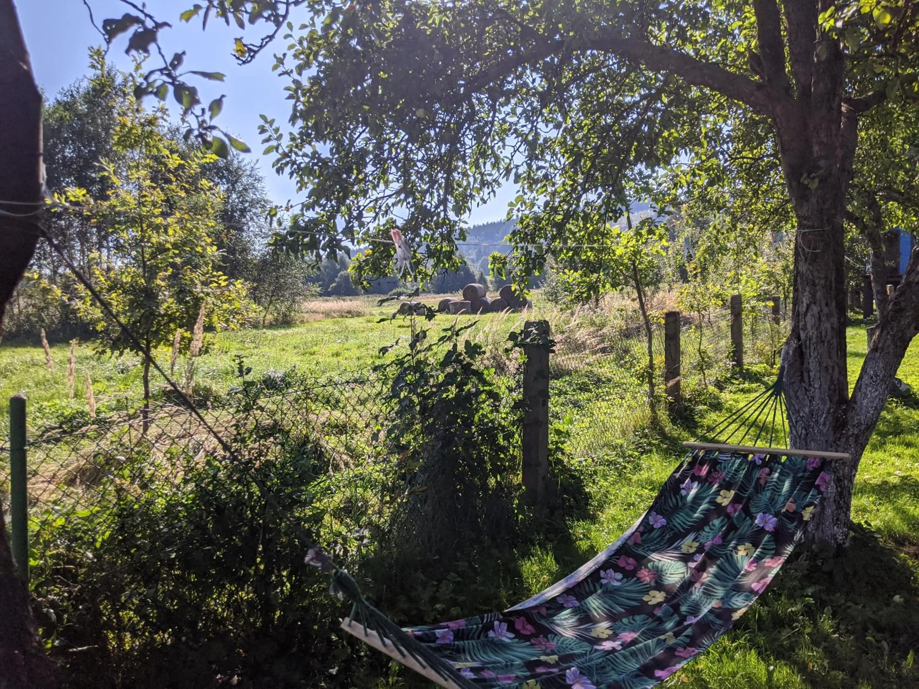 Natural landscape in Siedlisko Krasna