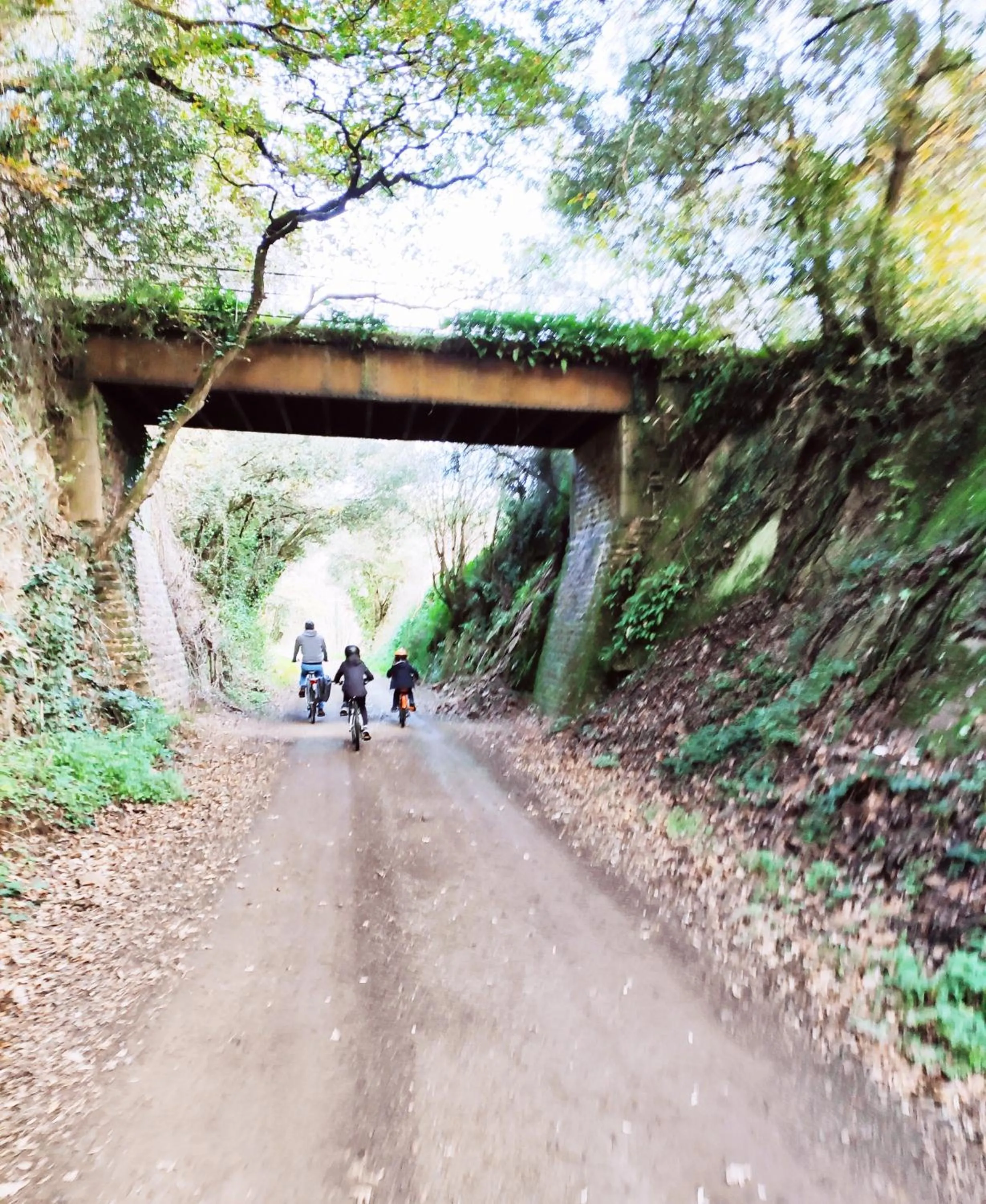 Cycling in L'Aubinoise