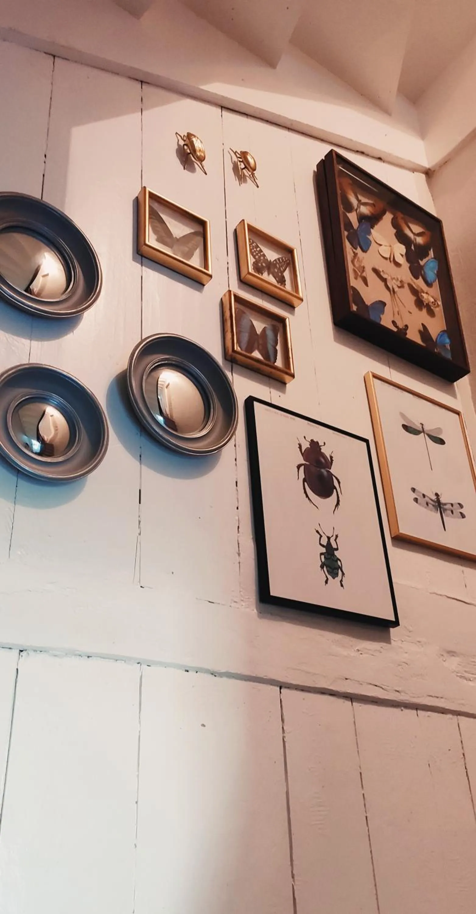 Property building in L'Aubinoise