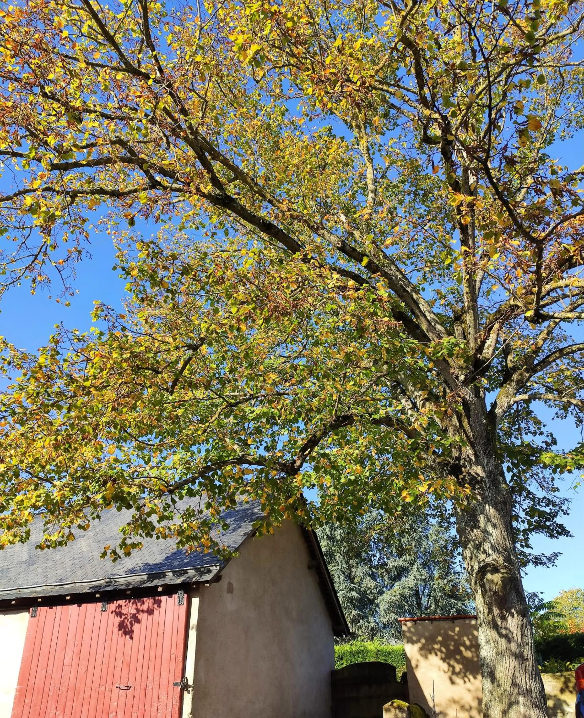 Garden in L'Aubinoise