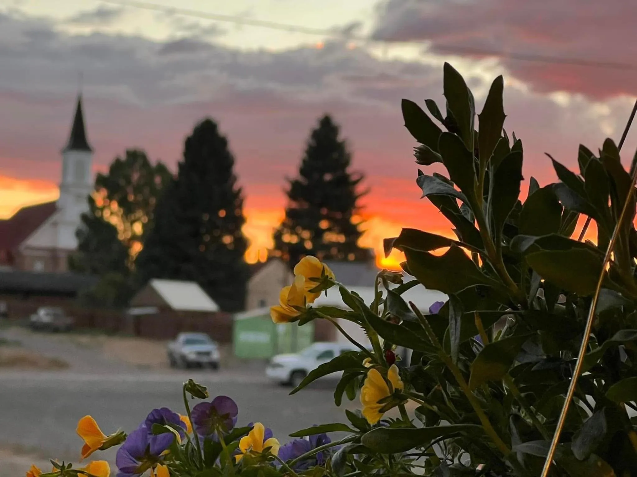 City view in THE SNUGGLE INN