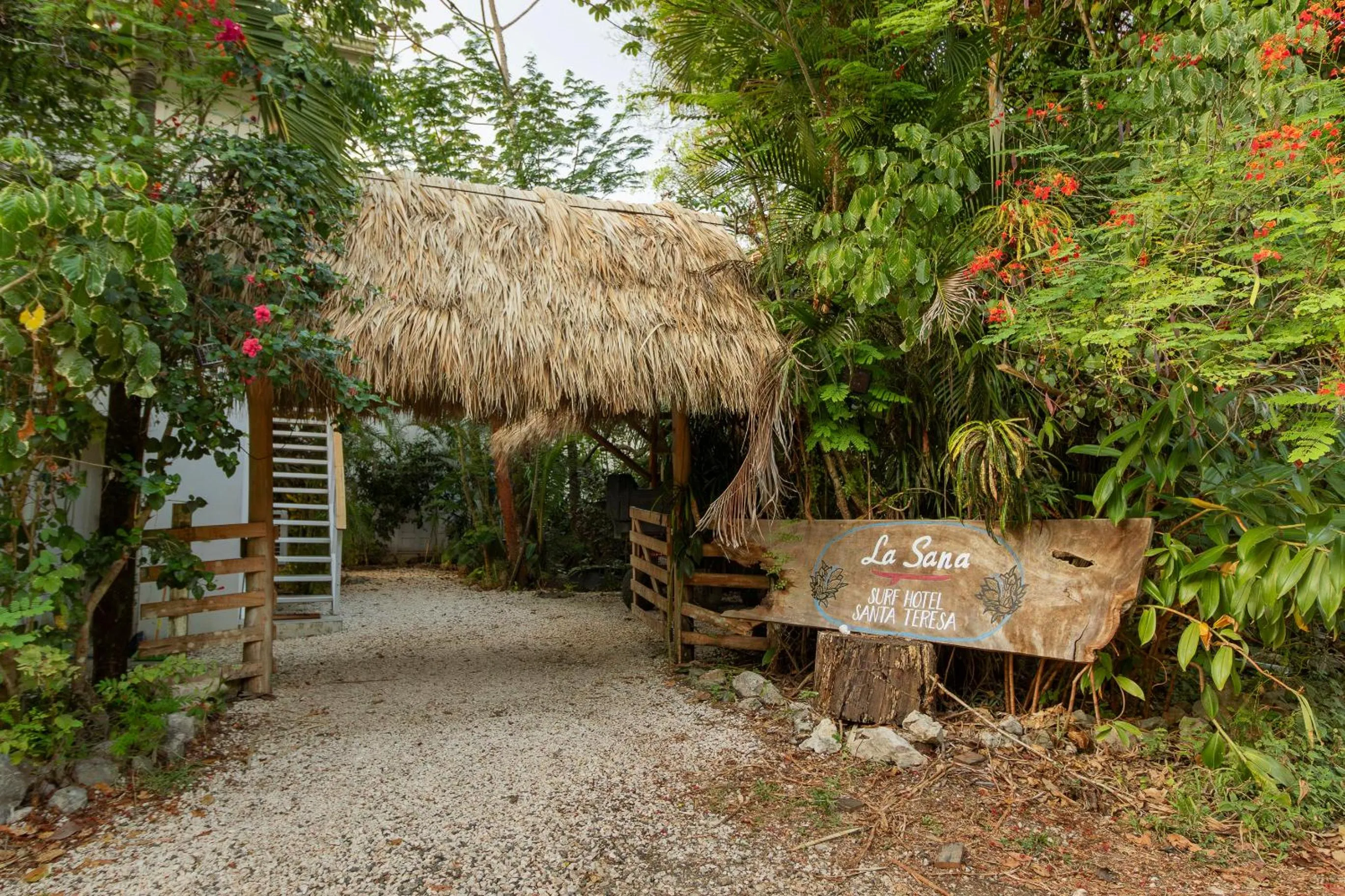 La Sana Surf Hotel, Playa Carmen