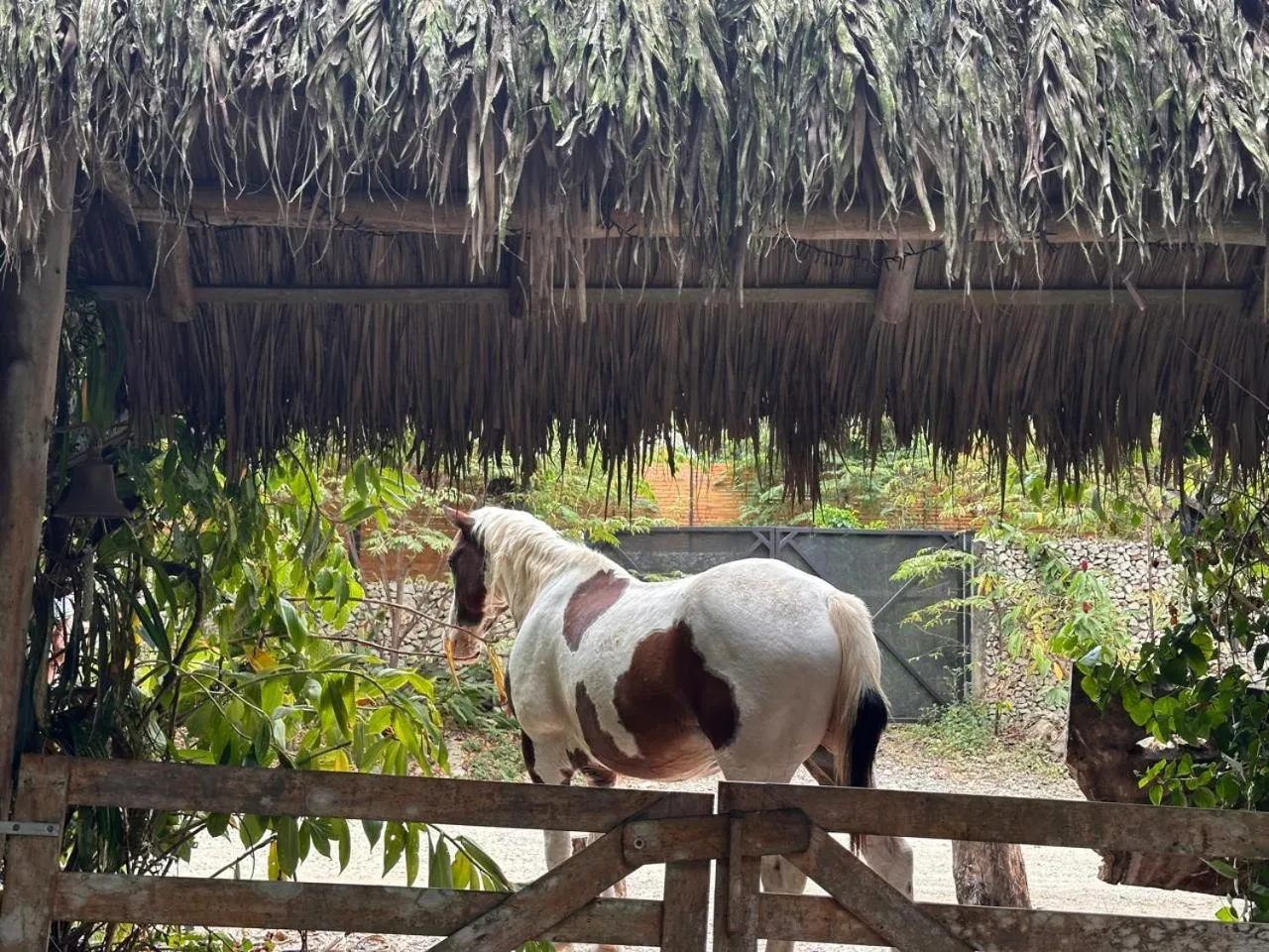 Property building in La Sana Surf Hotel, Playa Carmen