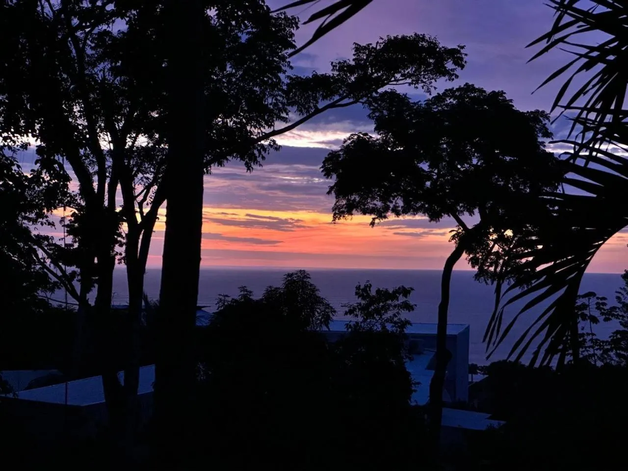 La Sana Surf Hotel, Playa Carmen