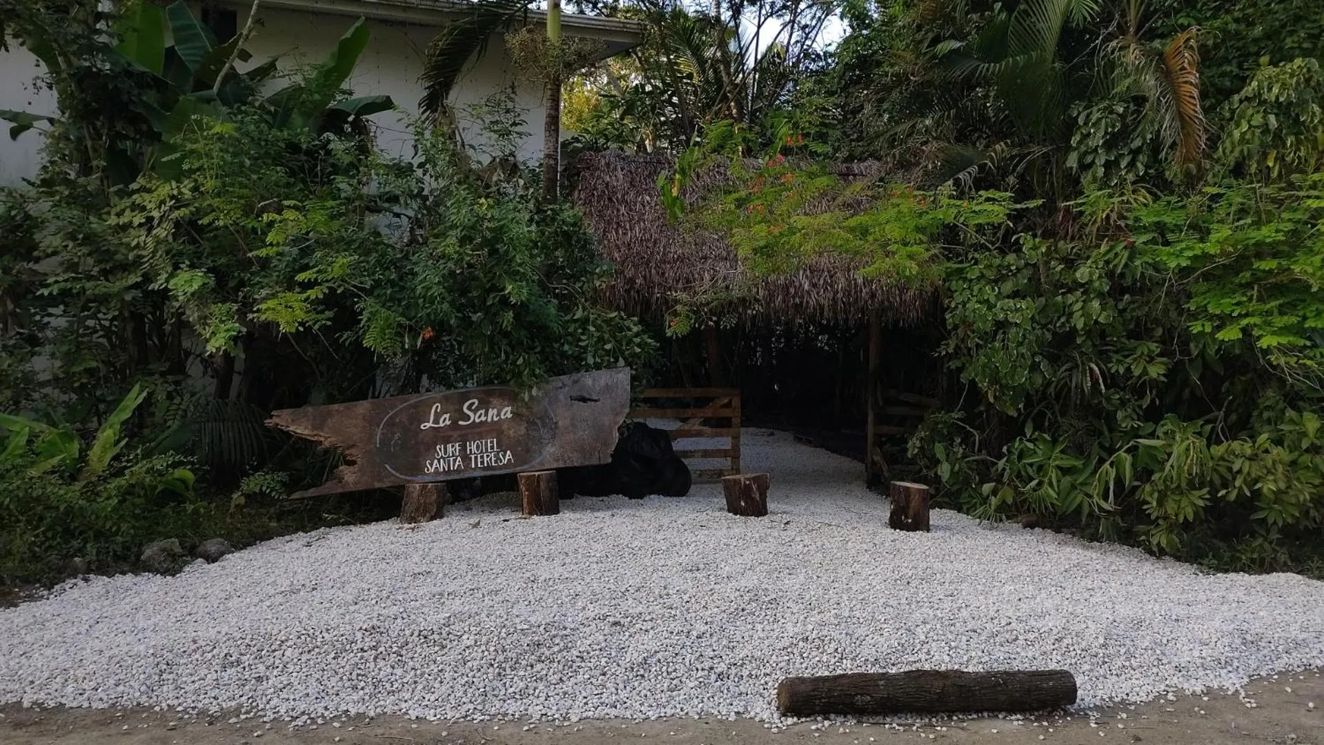 Garden view in La Sana Surf Hotel, Playa Carmen
