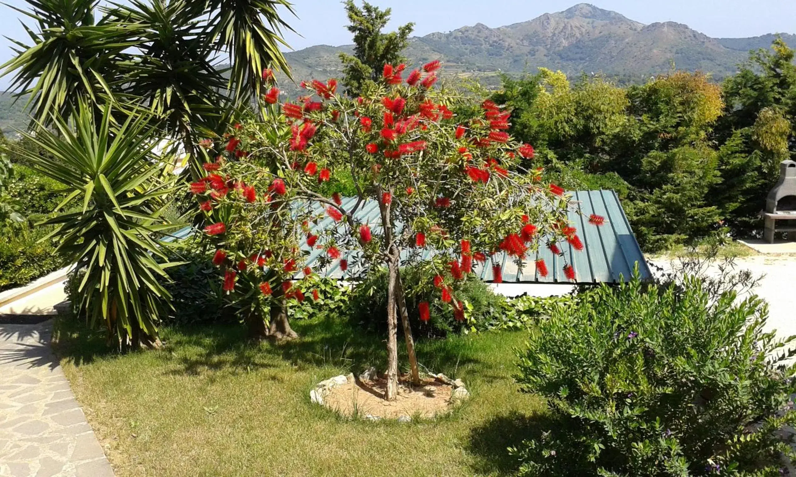 Apartment in villa 2 to 3 persons with large private garden Apartment in villa 2 to 3 persons with large private garden