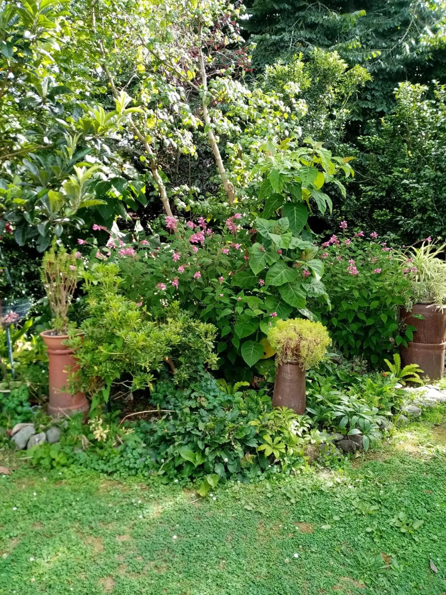 Manakau House The Old Manakau Hotel 1920