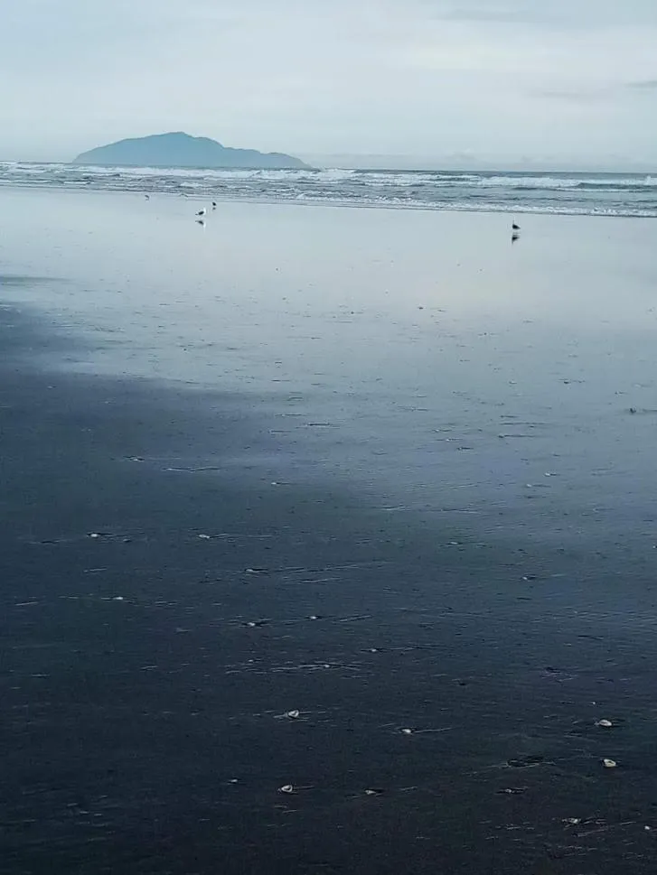 Natural landscape in Manakau House The Old Manakau Hotel 1920
