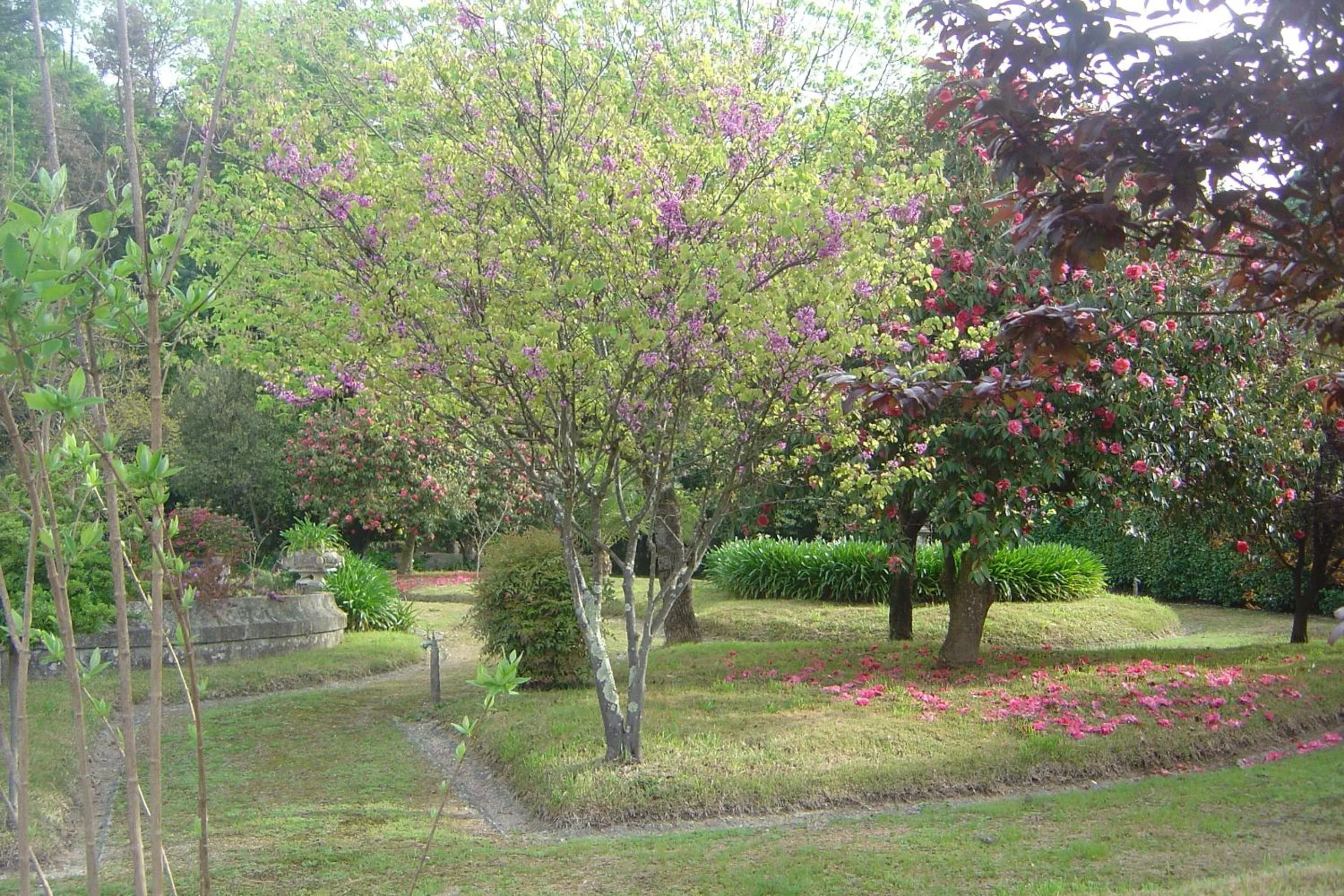 Garden in Casa Da Espinhosa