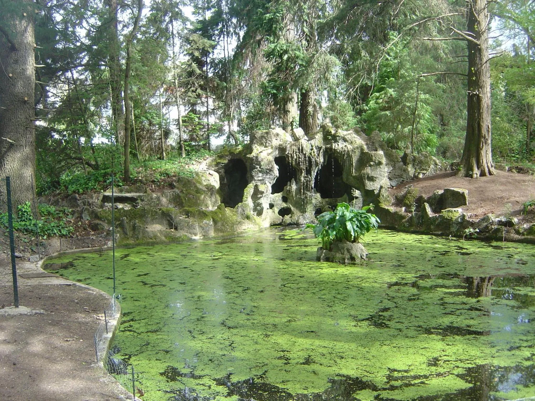 Garden in Casa Da Espinhosa