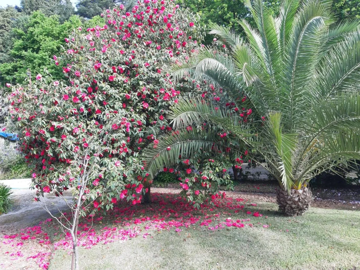 Casa Da Espinhosa