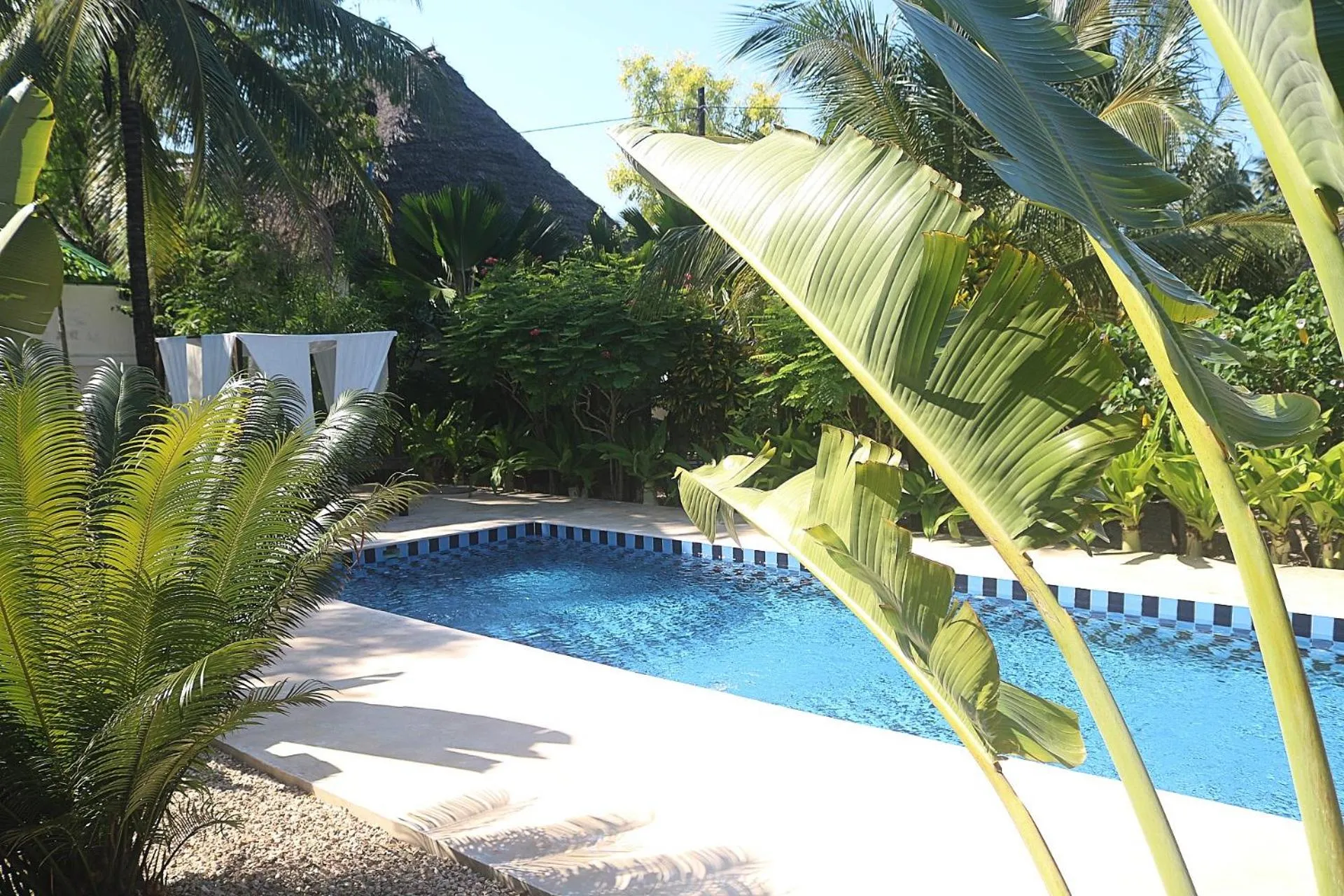 Pool view in Aurora Boutique Hotel Jambiani