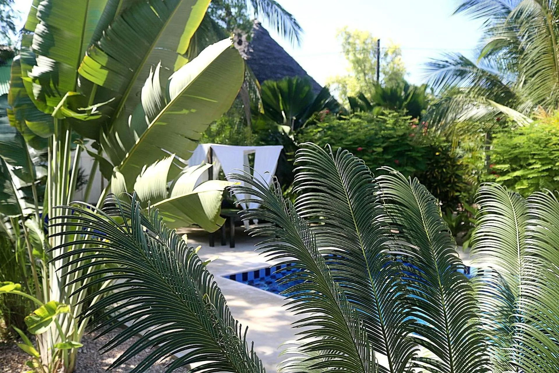 Property building in Aurora Boutique Hotel Jambiani