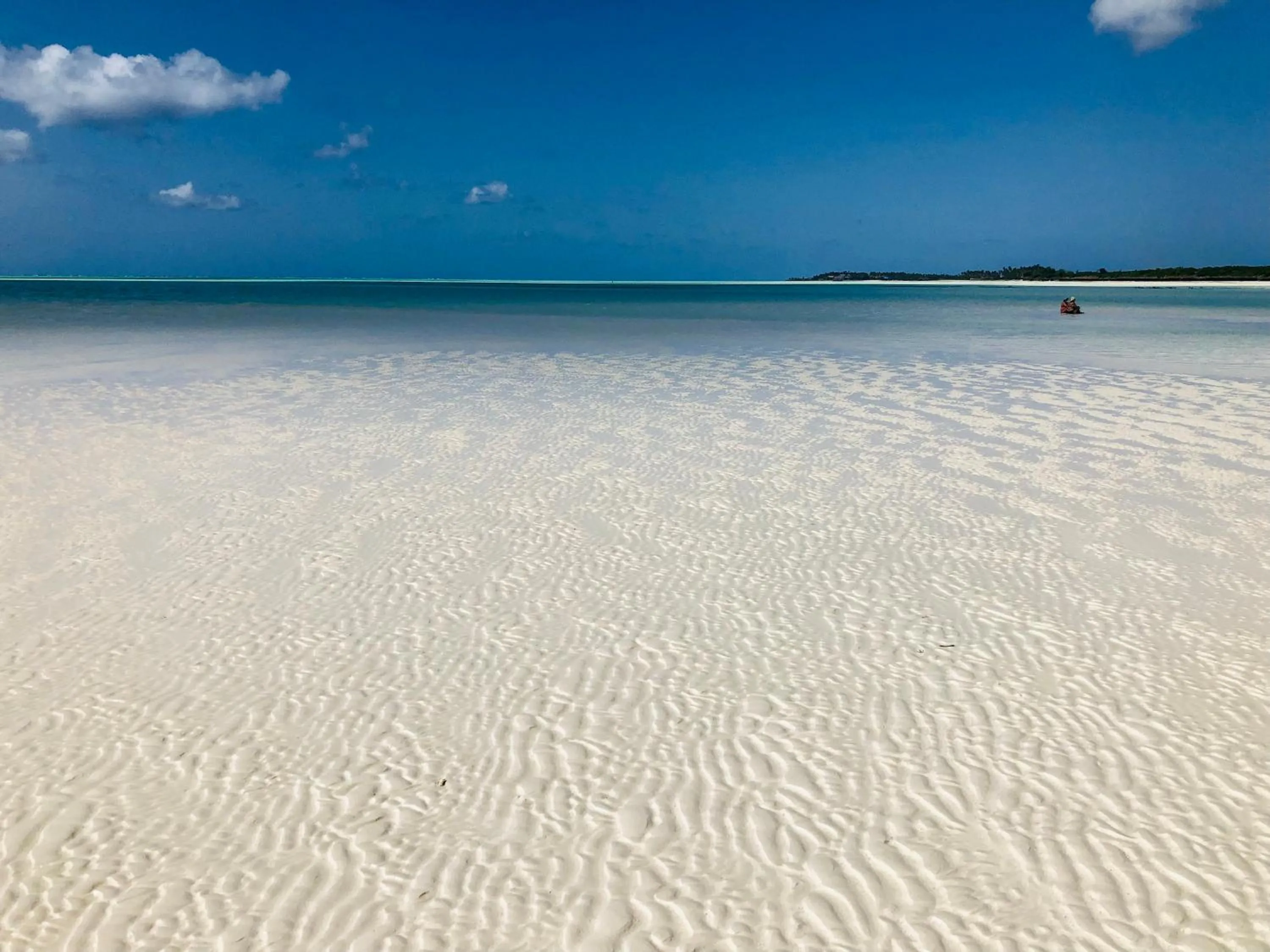 Beach in Aurora Boutique Hotel Jambiani