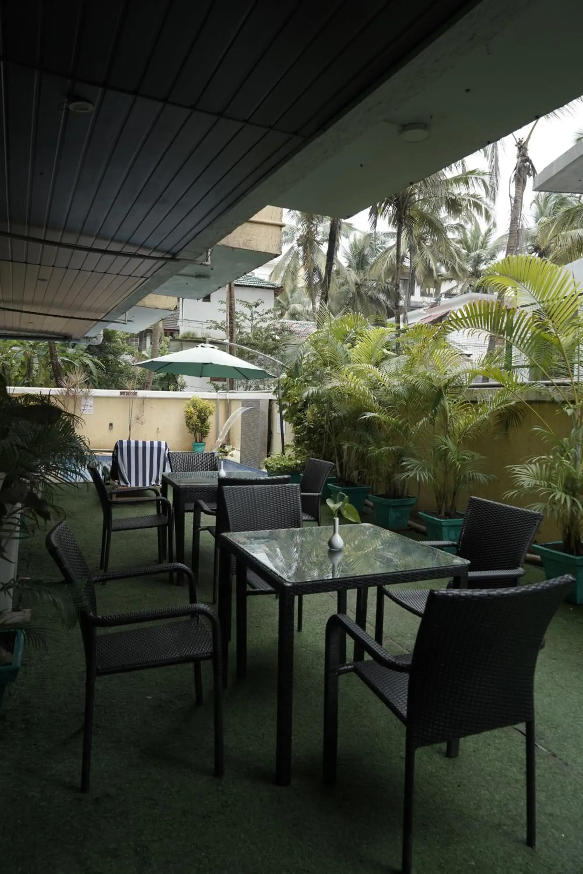Garden view in Trevon Hotels & Resorts Goa Garden view in Trevon Hotels & Resorts Goa