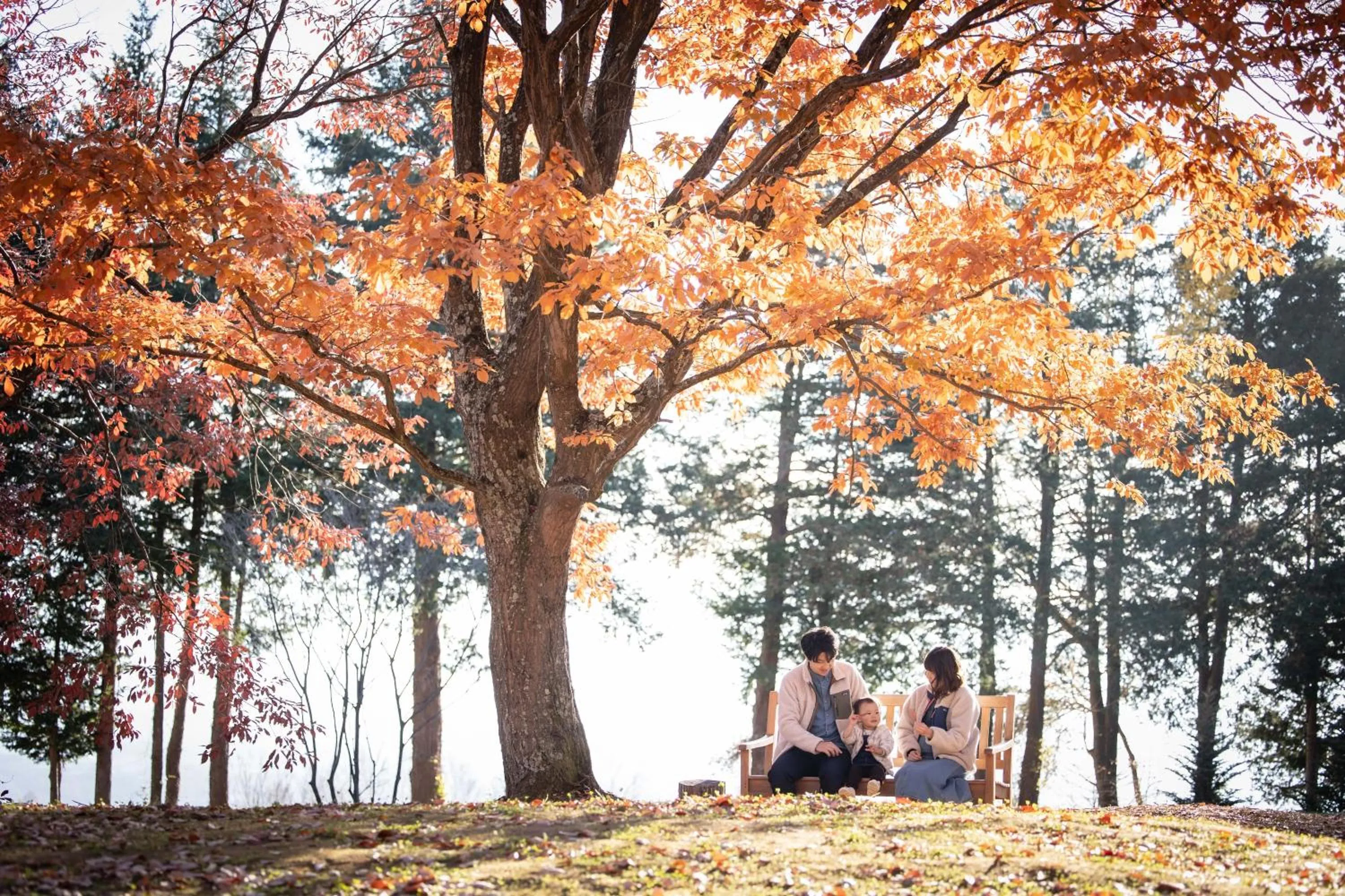 Natural landscape in THE HIRAMATSU KARUIZAWA MIYOTA