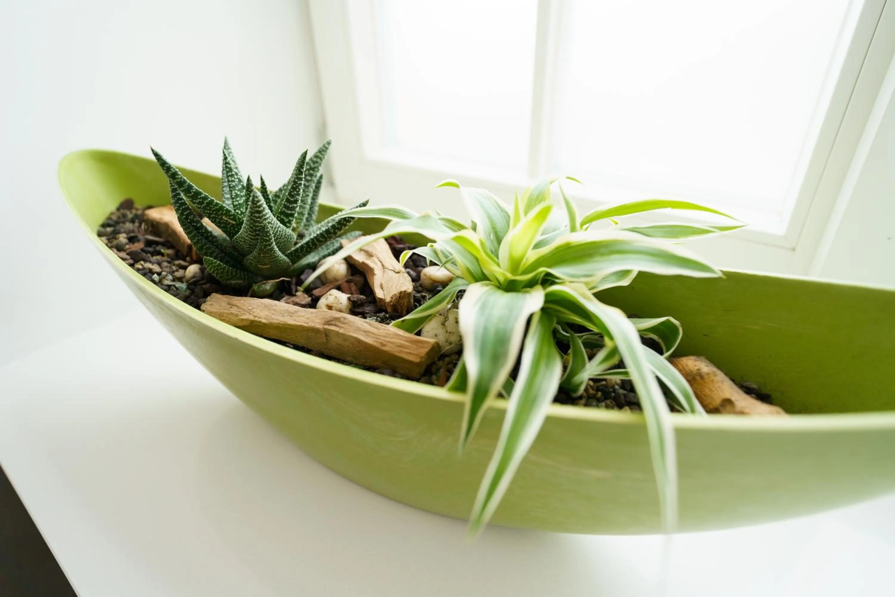 Decorative detail in Hotel Wilder Mann