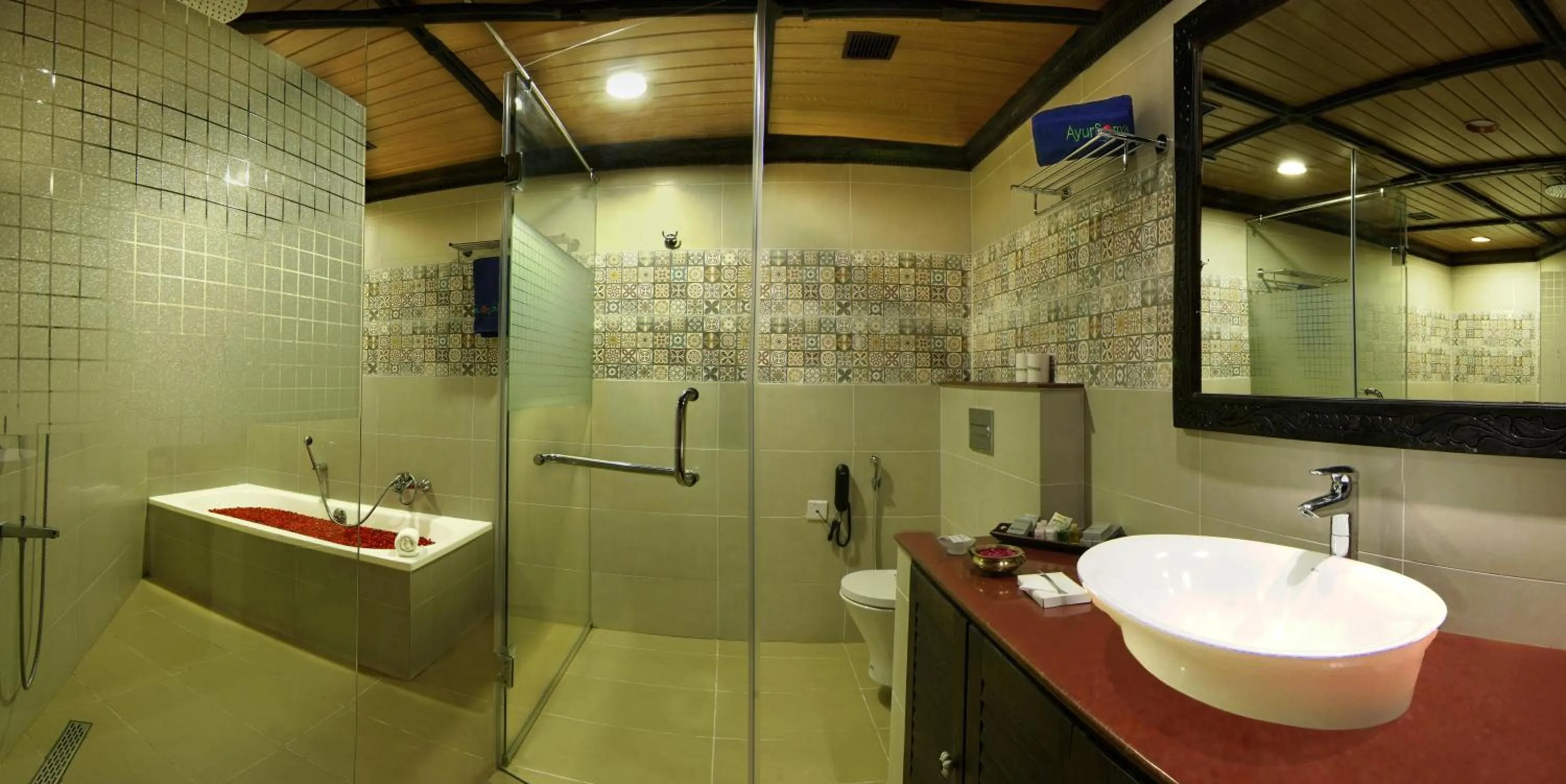 Bathroom in AyurSoma Ayurveda Royal Retreat