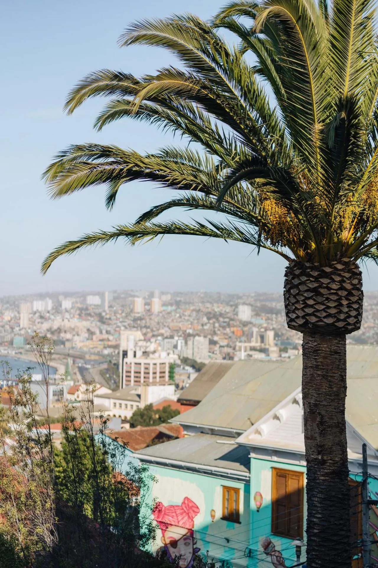 City view in Casablu Hotel