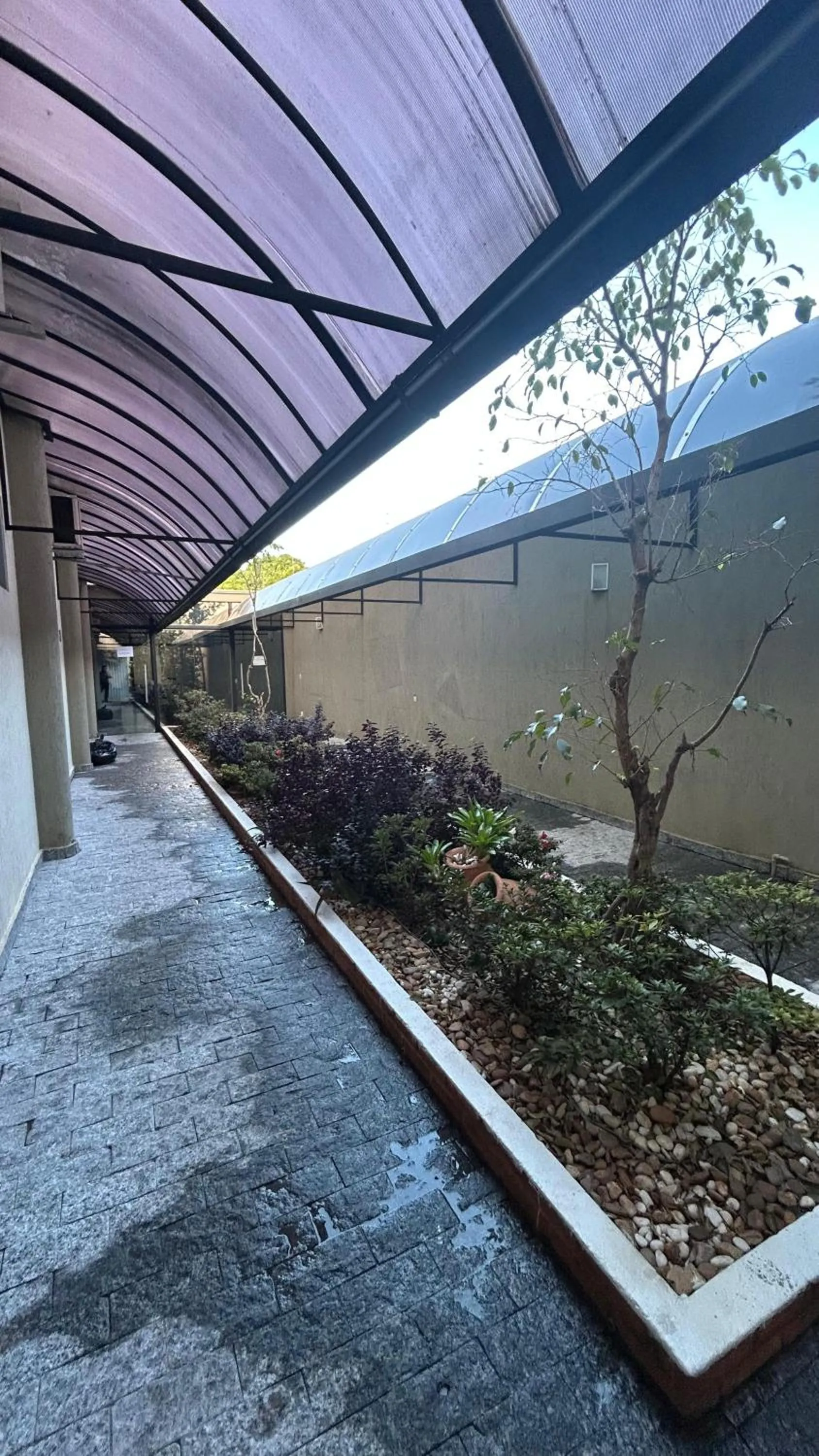 Garden in Havana Express