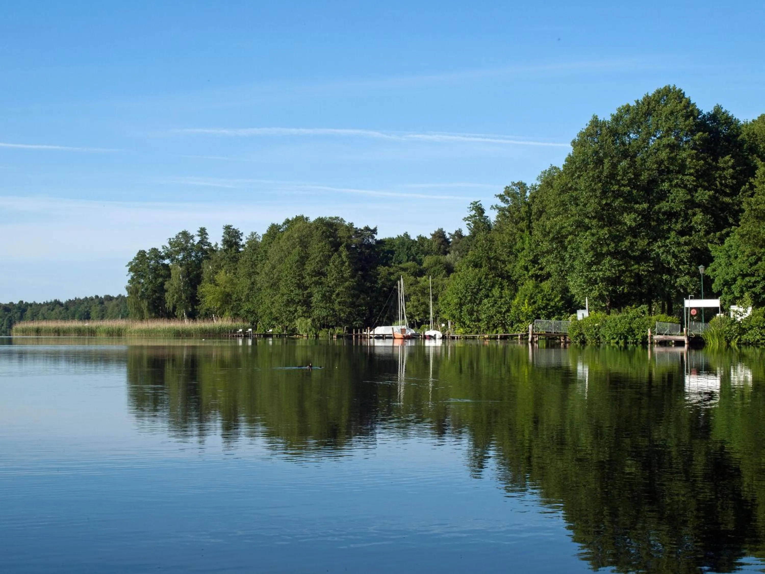 Natural landscape in Hotel & Restaurant Waldschlösschen
