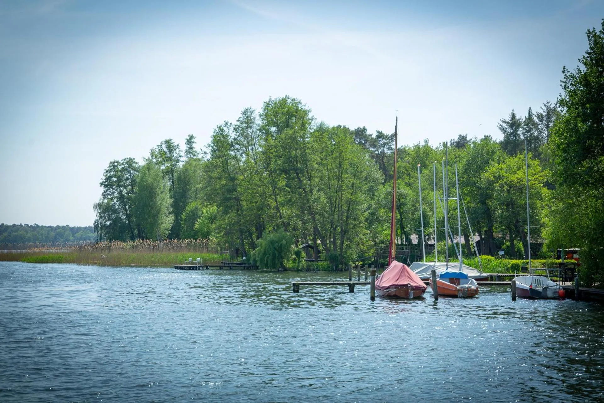 Staff in Hotel & Restaurant Waldschlösschen