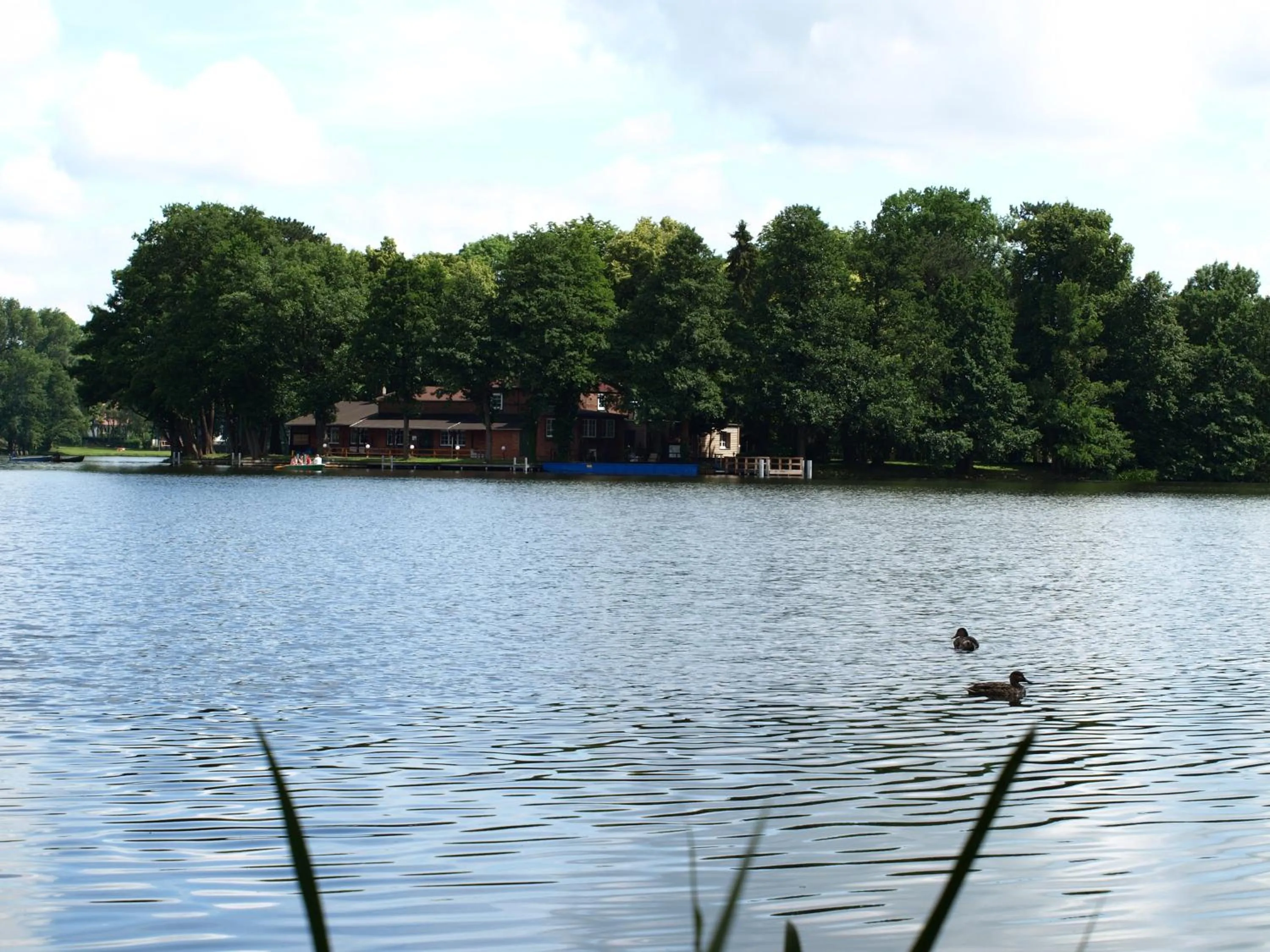 Area and facilities in Hotel & Restaurant Waldschlösschen