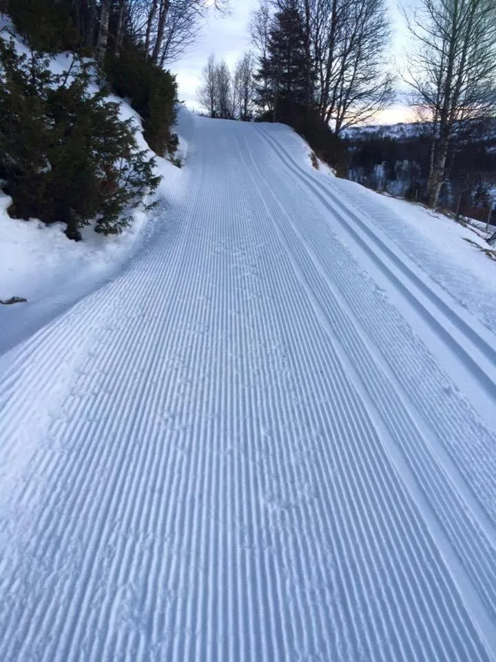 Nordpå Fjellhotell AS