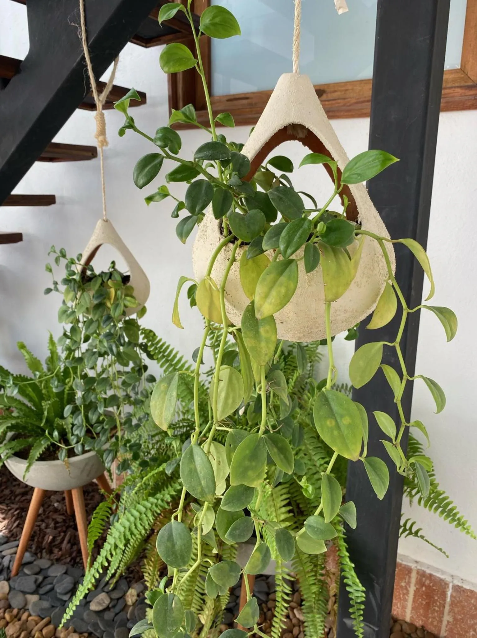 Decorative detail in Casa Bixa Hotel Boutique - Solo Adultos