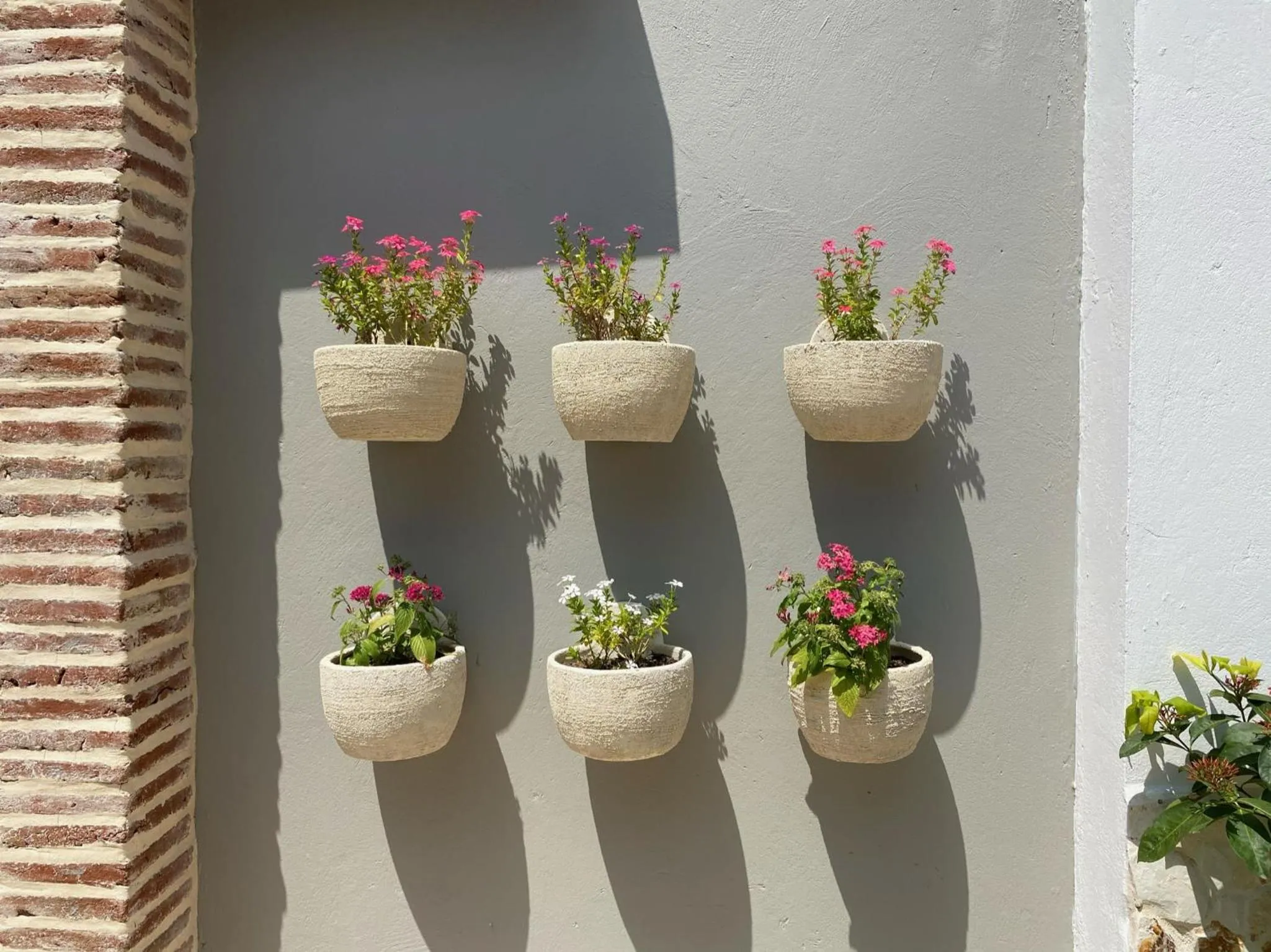 Decorative detail in Casa Bixa Hotel Boutique - Solo Adultos