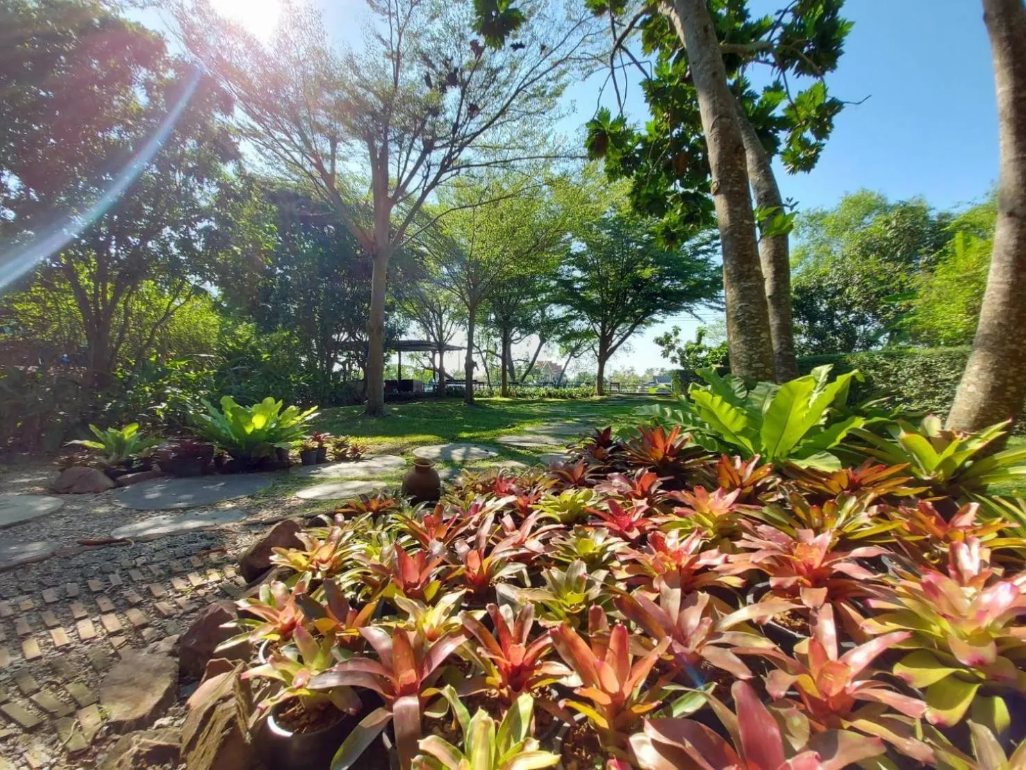 Garden in River CoCo @ Amphawa