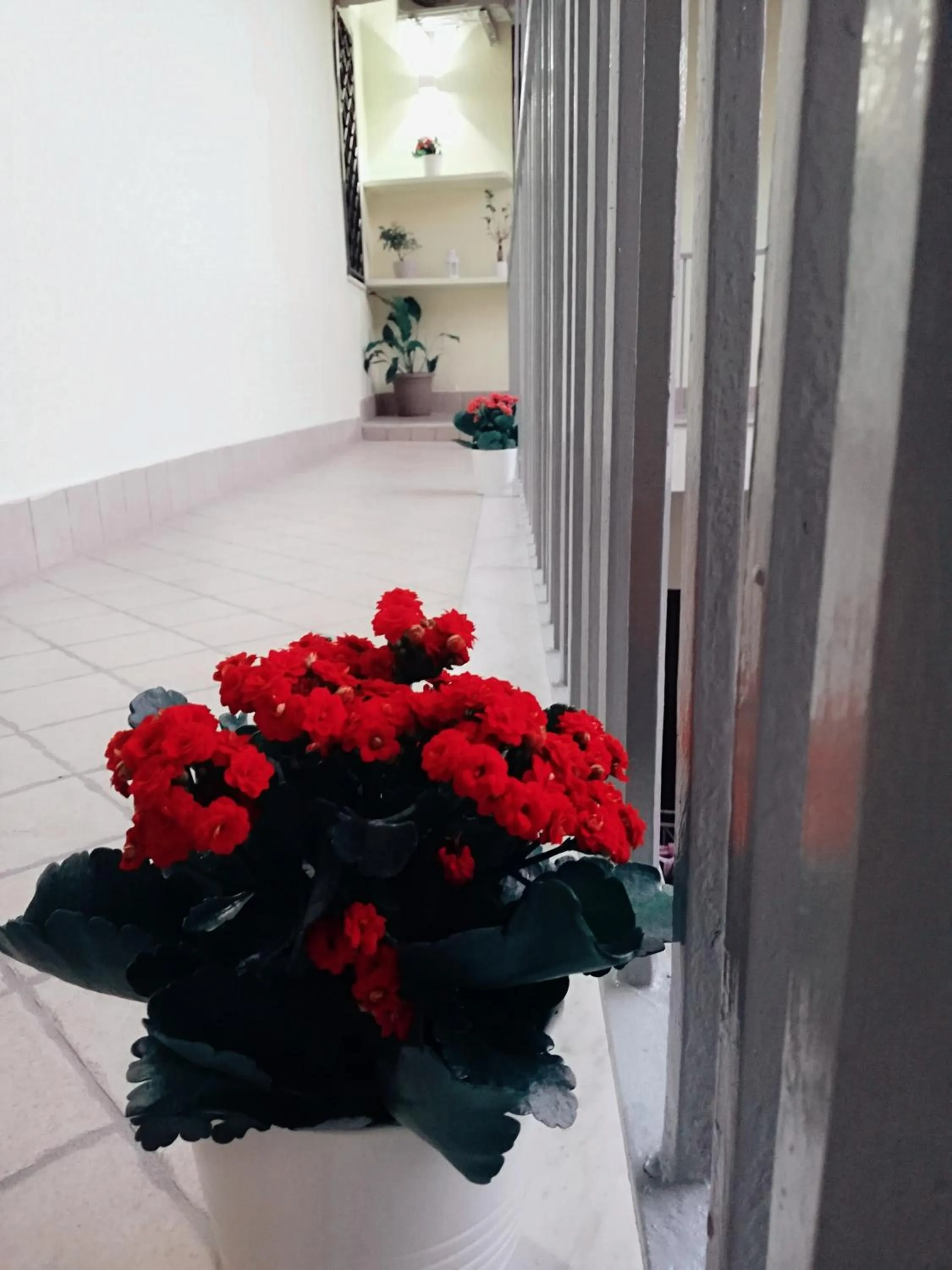 Balcony/Terrace in Royal Dreams