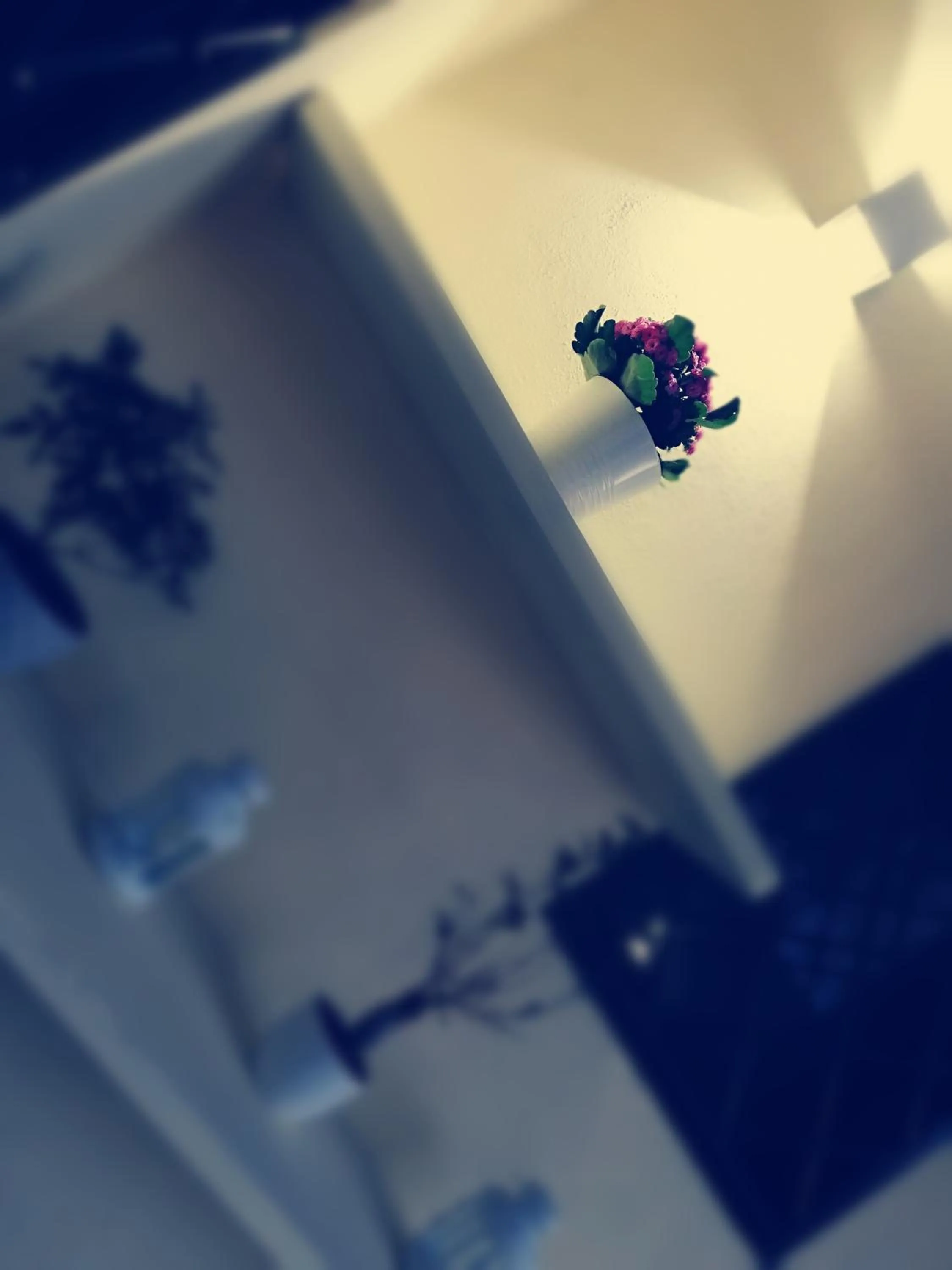 Balcony/Terrace in Royal Dreams