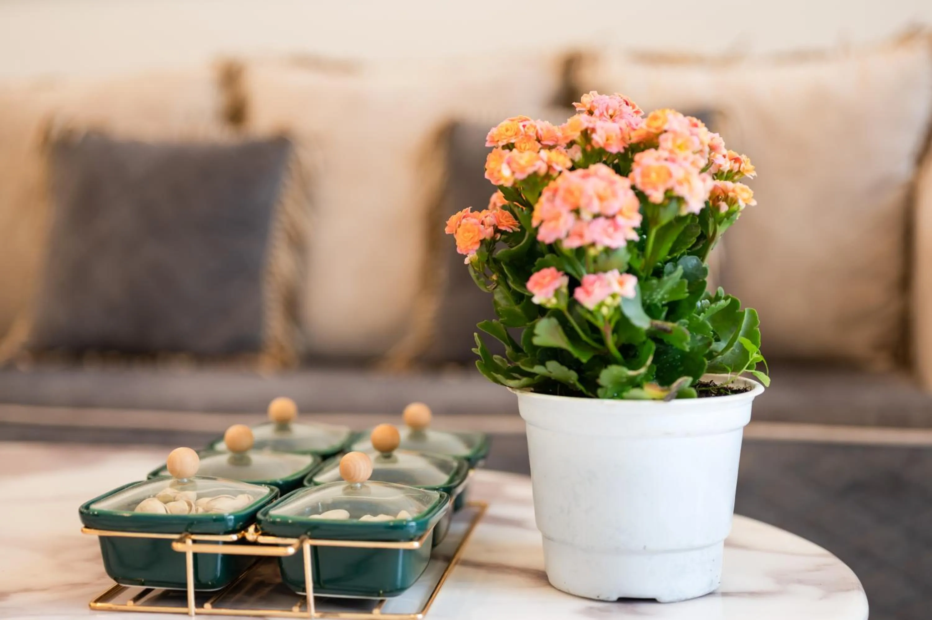 Guests in The View Hotel