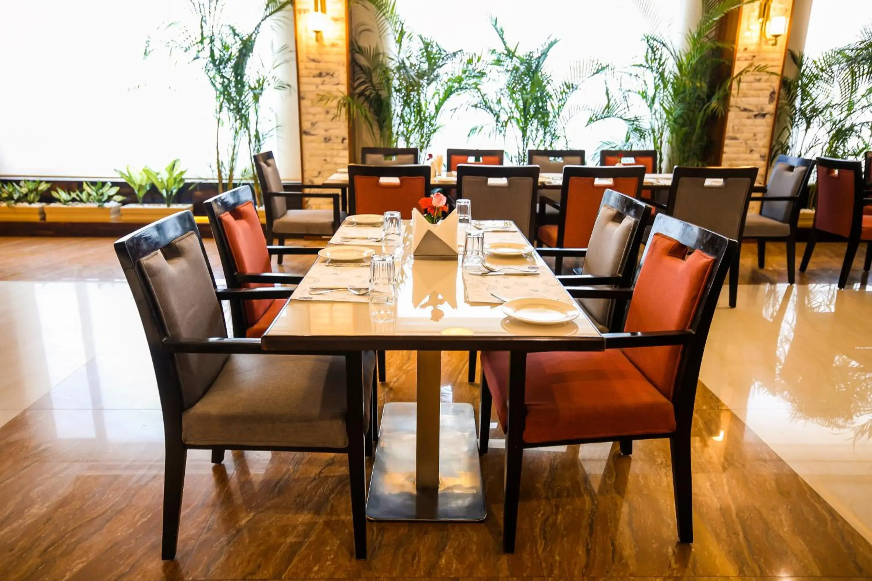 Restaurant/places to eat in Pristine Hotel, Varanasi Restaurant/places to eat in Pristine Hotel, Varanasi