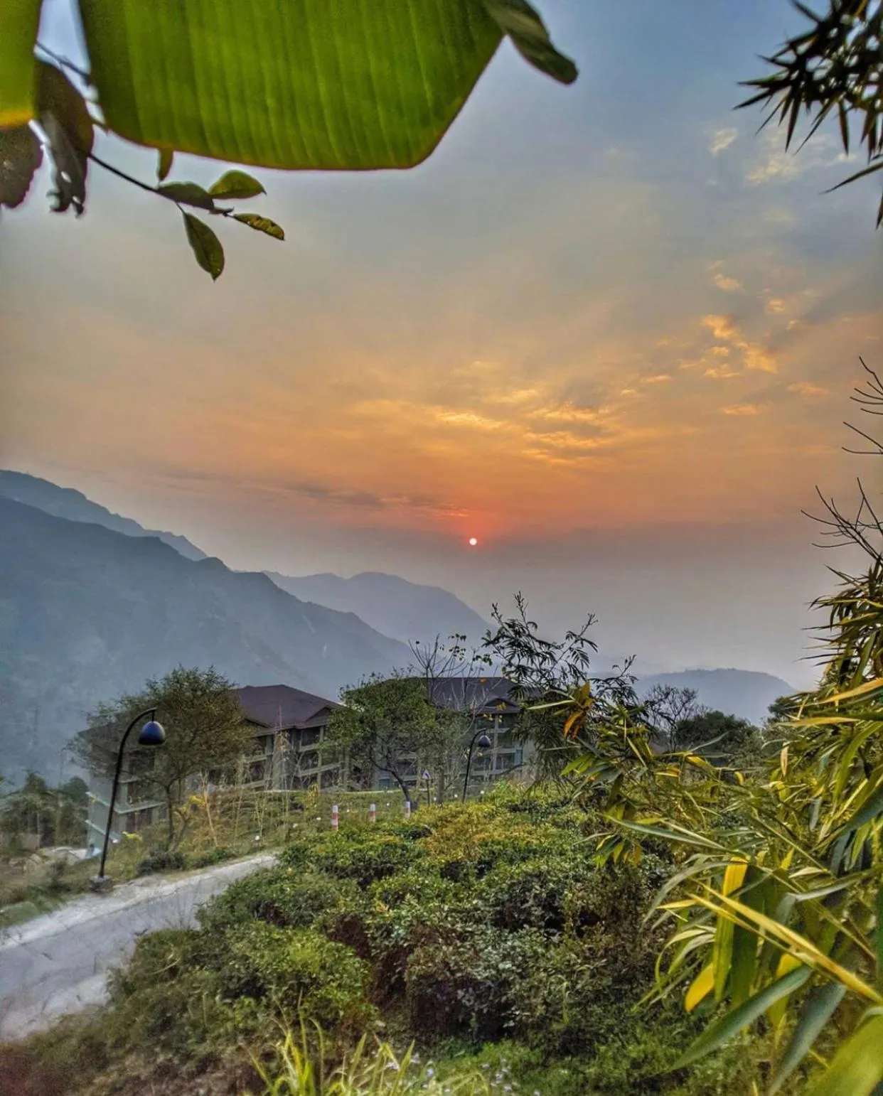 Quiet street view in Taj Chia Kutir Resort & Spa Darjeeling