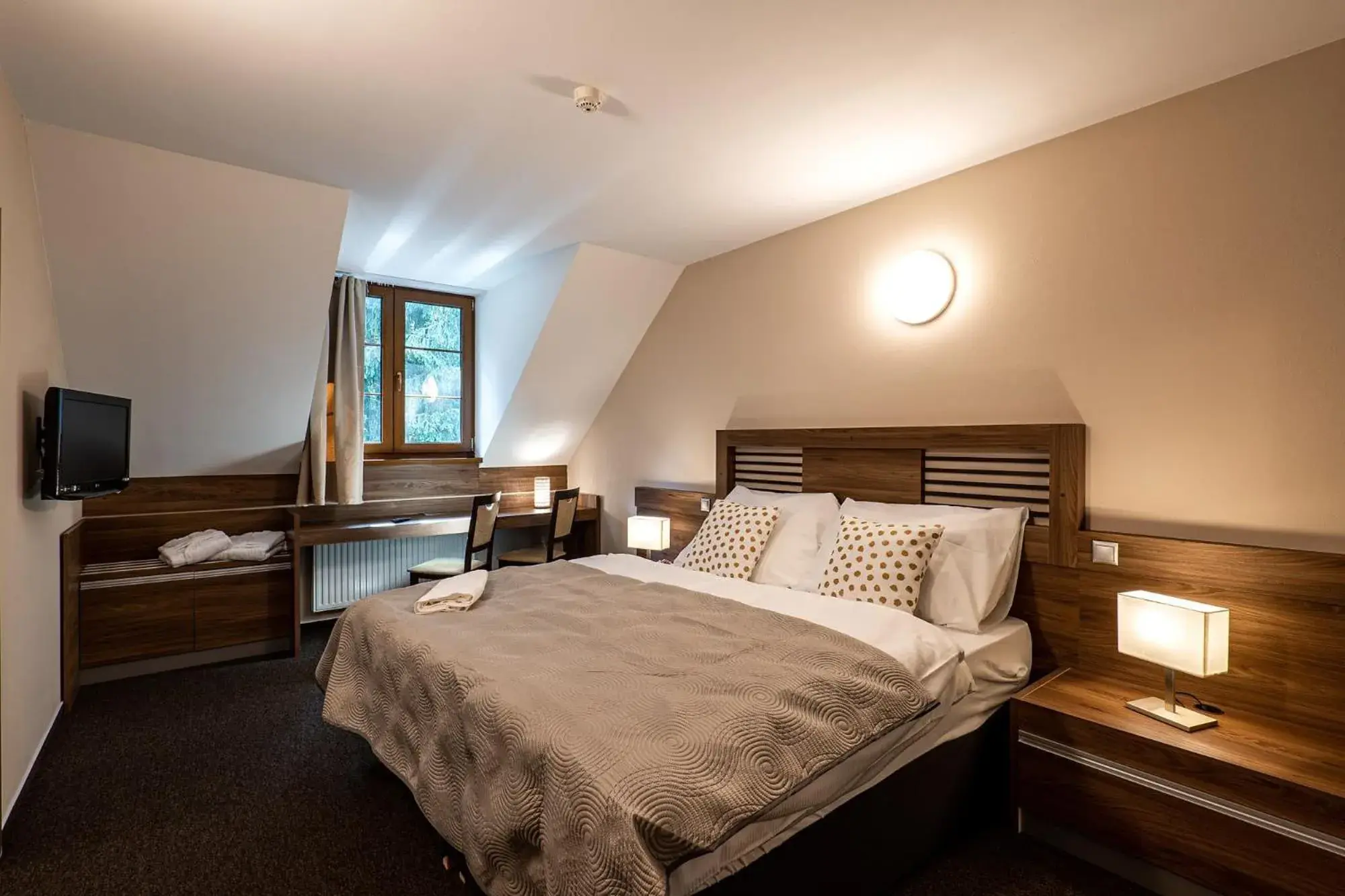 Double Room in Wellness Hotel pod Kyčmolem Double Room in Wellness Hotel pod Kyčmolem