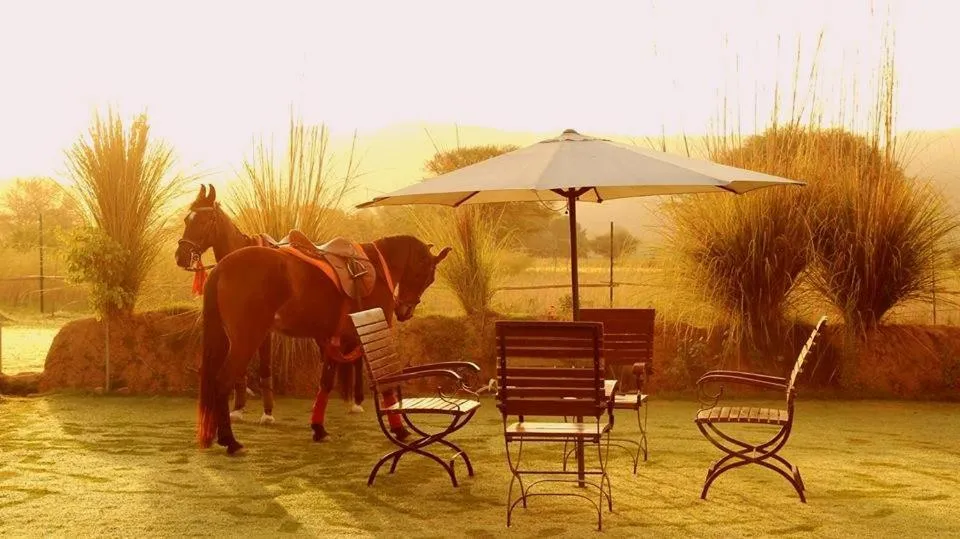 Other in Maa Ashapura Resort